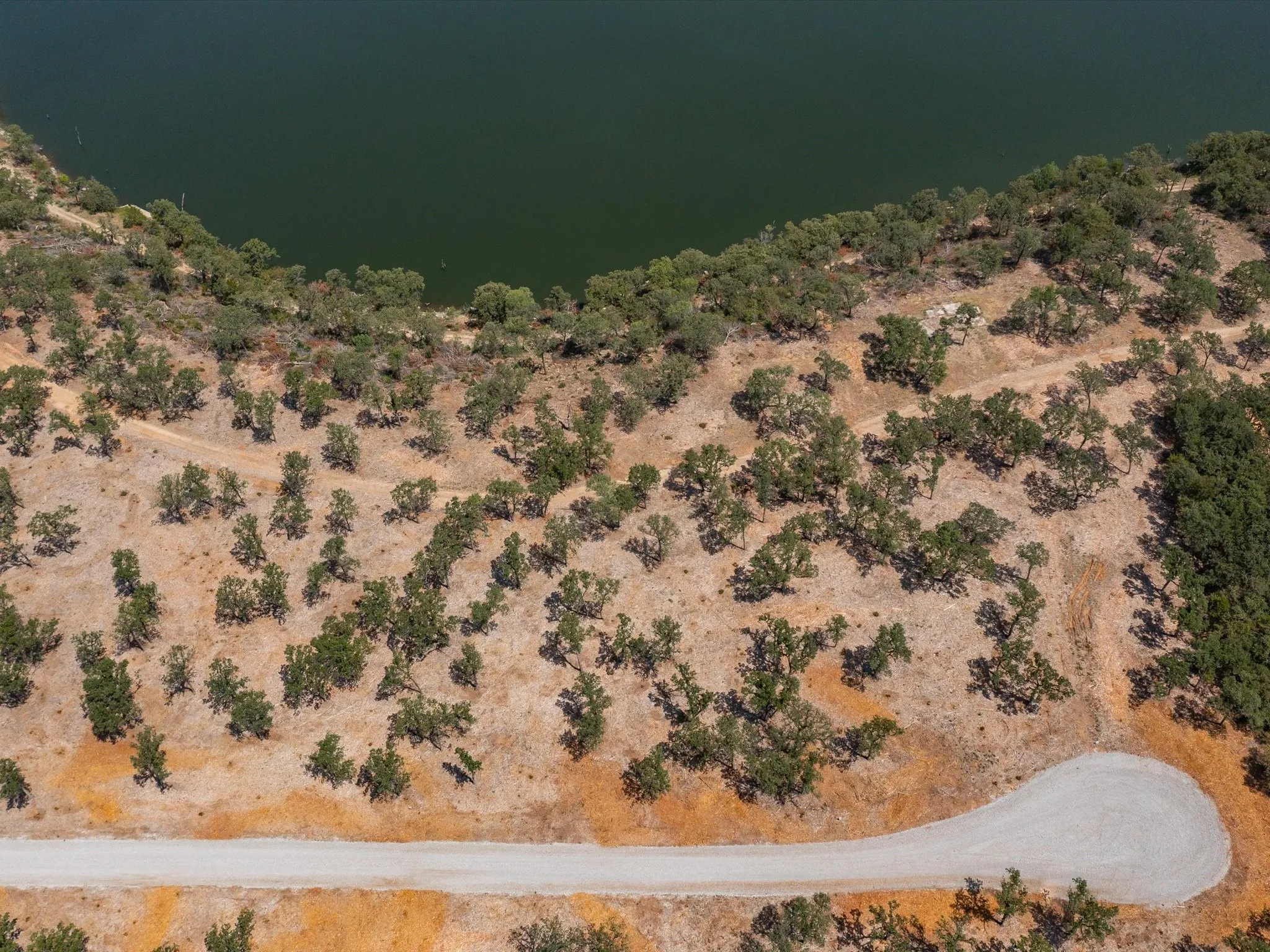 Unimproved Land For Sale in Montague County , Lot 9 Choate, Bowie, Texas 76230, 0, 0, Garage spaces, 0 Sqft, built in 0, Price $419,000, mls#20125564, Real Estate Agent in Bowie, Homes For Sale in Montague county, Homes For Sale in Bowie, Realtor in Bowie Texas, Real Estate Brokerage Independent Realty Texas, Luminita Cordes Realtor