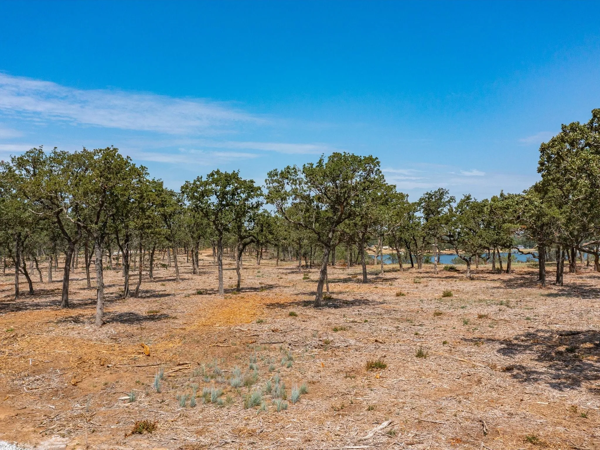 Unimproved Land For Sale in Montague County , Lot 10 Choate, Bowie, Texas 76230, 0, 0, Garage spaces, 0 Sqft, built in 0, mls#20125612, Real Estate Agent in Bowie, Homes For Sale in Montague county, Homes For Sale in Bowie, Realtor in Bowie Texas, Real Estate Brokerage Independent Realty Texas, Luminita Cordes Realtor