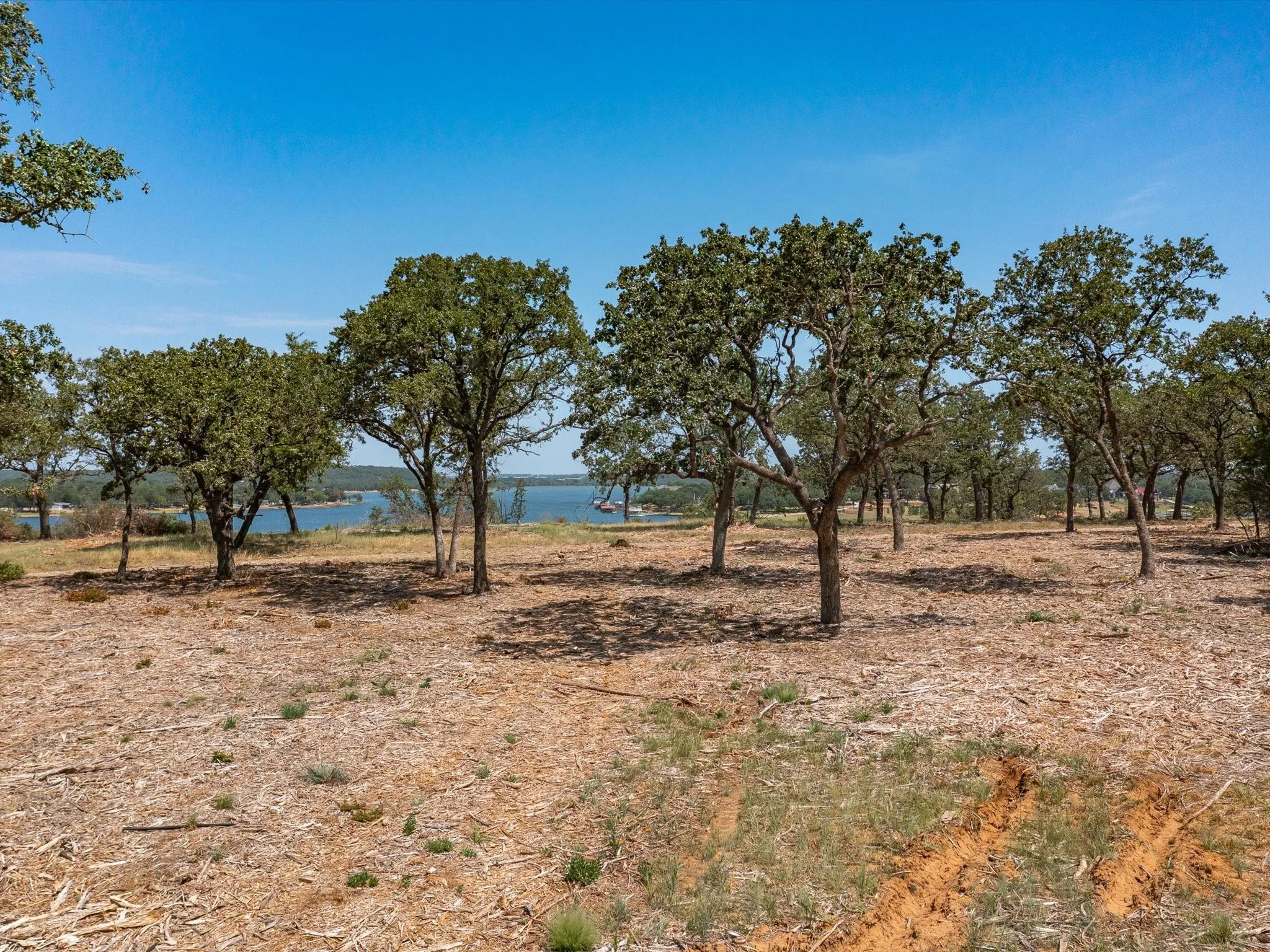 Unimproved Land For Sale in Montague County , Lot 11 Choate, Bowie, Texas 76230, 0, 0, Garage spaces, 0 Sqft, built in 0, Price $419,000, mls#20125625, Real Estate Agent in Bowie, Homes For Sale in Montague county, Homes For Sale in Bowie, Realtor in Bowie Texas, Real Estate Brokerage Independent Realty Texas, Luminita Cordes Realtor