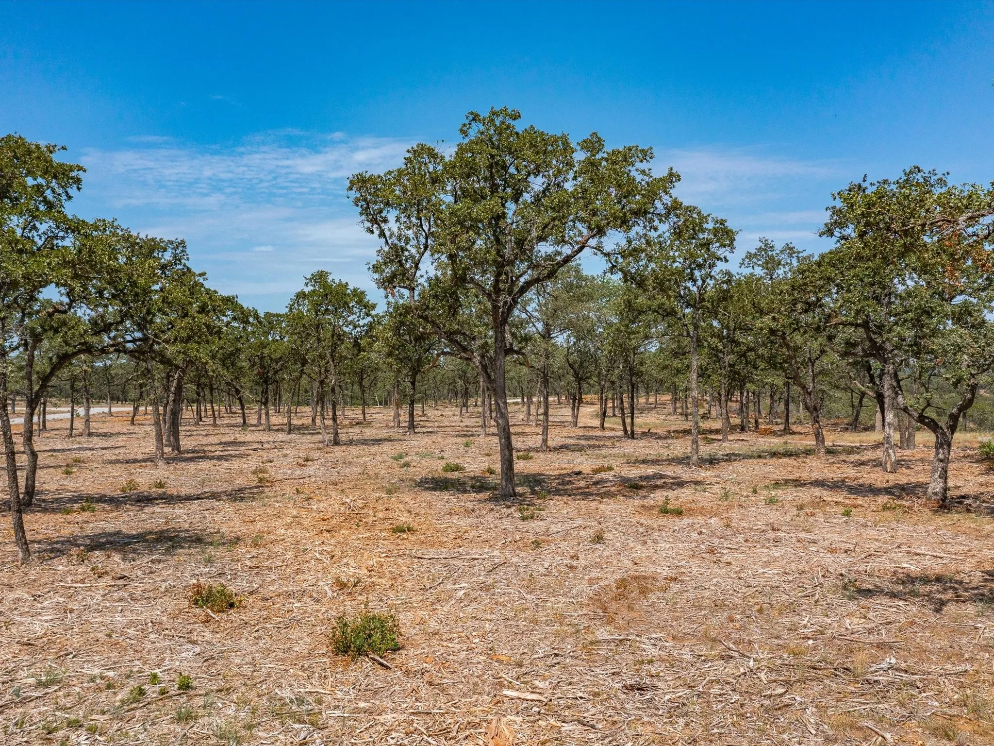Unimproved Land For Sale in Montague County , Lot 12 Choate, Bowie, Texas 76230, 0, 0, Garage spaces, 0 Sqft, built in 0, Price $419,000, mls#20125650, Real Estate Agent in Bowie, Homes For Sale in Montague county, Homes For Sale in Bowie, Realtor in Bowie Texas, Real Estate Brokerage Independent Realty Texas, Luminita Cordes Realtor