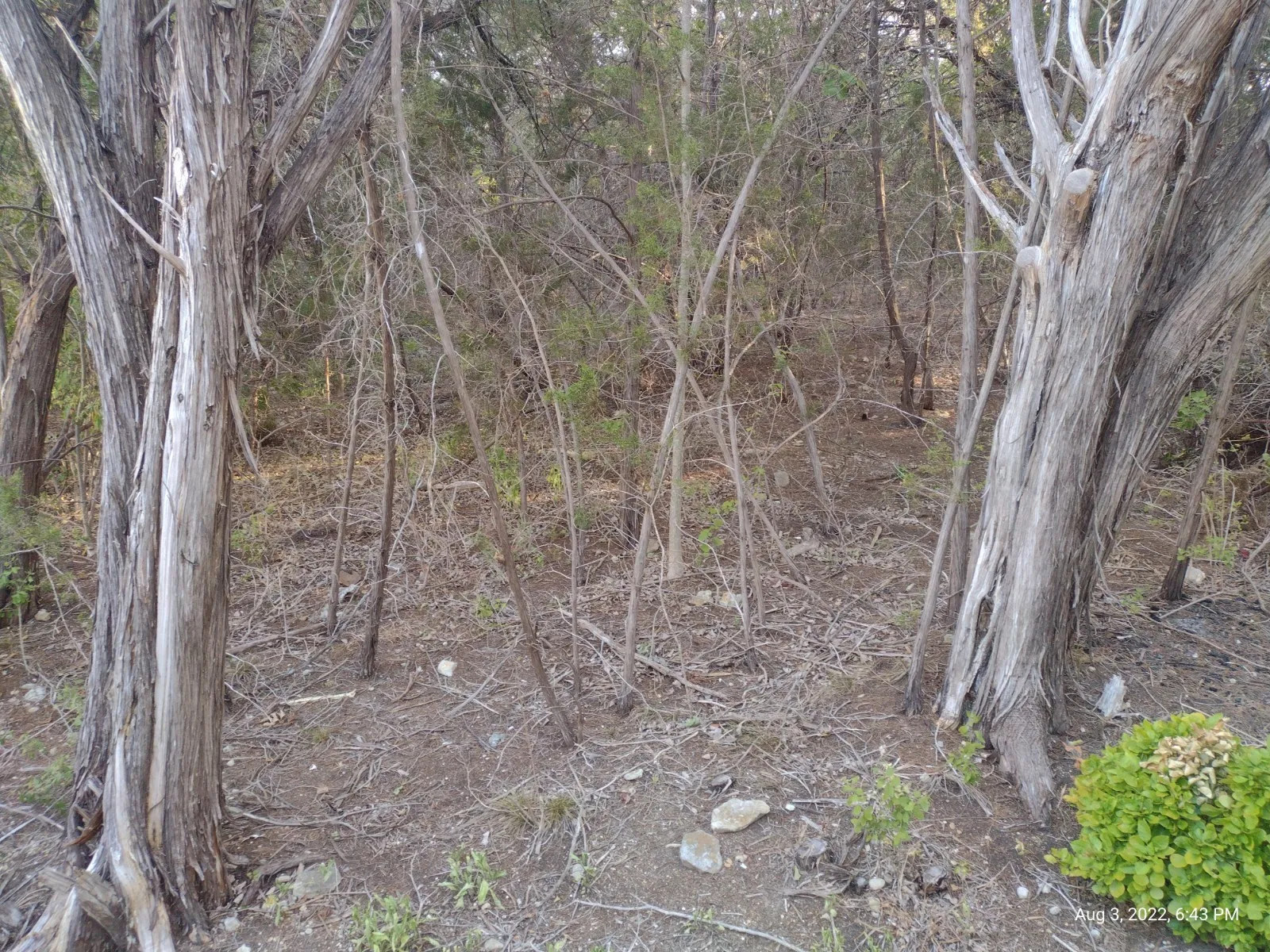 Unimproved Land For Sale in Hood County , 1011 Comanche Cove Drive, Granbury, Texas 76048, 0, 0, Garage spaces, 0 Sqft, built in 0, mls#20132847, Real Estate Agent in Granbury, Homes For Sale in Hood county, Homes For Sale in Granbury, Realtor in Granbury Texas, Real Estate Brokerage Independent Realty Texas, Luminita Cordes Realtor