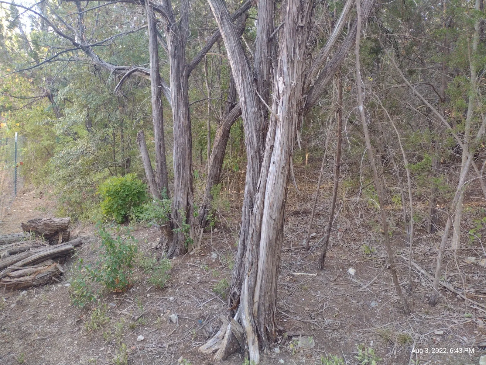 Unimproved Land For Sale in Hood County , 1011 Comanche Cove Drive, Granbury, Texas 76048, 0, 0, Garage spaces, 0 Sqft, built in 0, mls#20132847, Real Estate Agent in Granbury, Homes For Sale in Hood county, Homes For Sale in Granbury, Realtor in Granbury Texas, Real Estate Brokerage Independent Realty Texas, Luminita Cordes Realtor