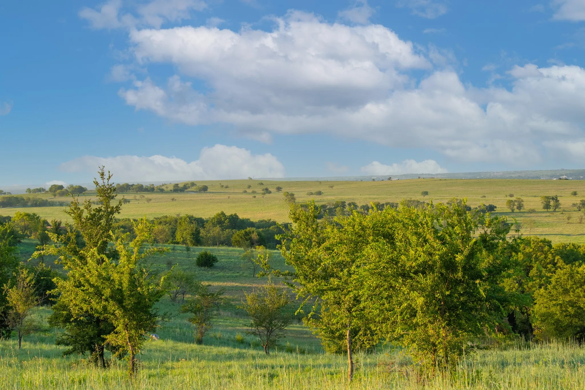 Unimproved Land For Sale in Parker County , 3027 Winding Creek Trail, Aledo, Texas 76008, 0, 0, Garage spaces, 0 Sqft, built in 0, mls#20157457, Real Estate Agent in Aledo, Homes For Sale in Parker county, Homes For Sale in Aledo, Realtor in Aledo Texas, Real Estate Brokerage Independent Realty Texas, Luminita Cordes Realtor