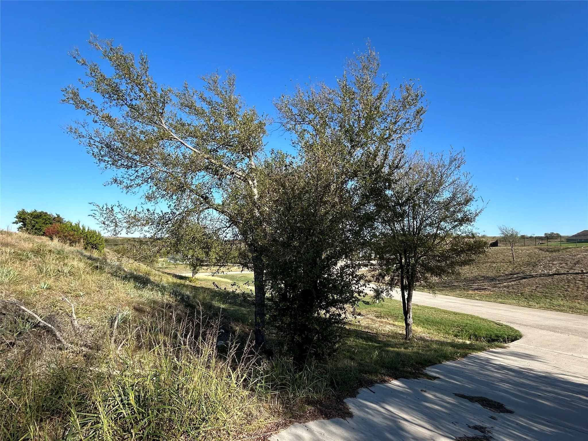 Lot 37 driveway