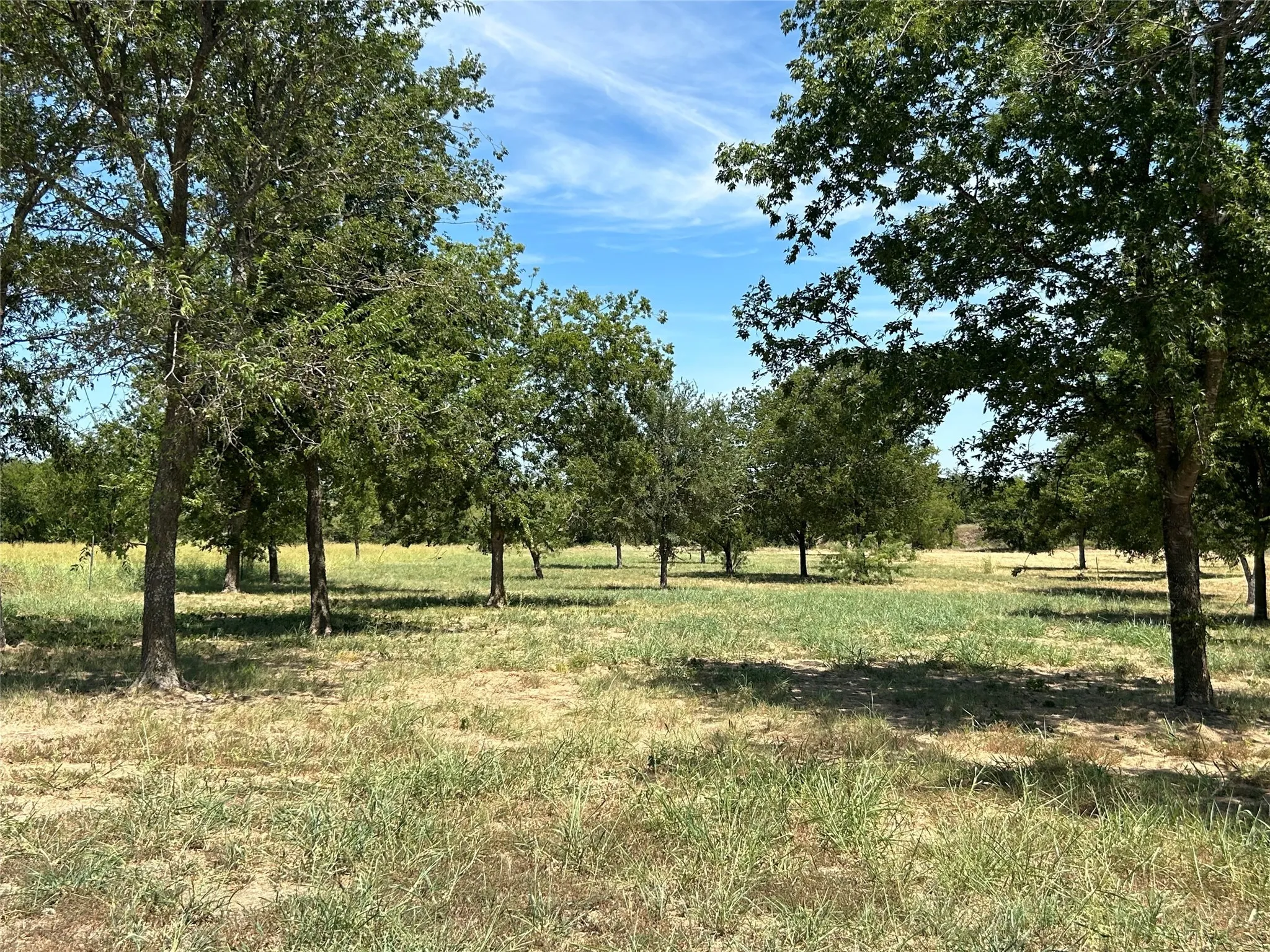 Unimproved Land For Sale in Parker County , 3044 Winding Creek Trail, Aledo, Texas 76008, 0, 0, Garage spaces, 0 Sqft, built in 0, Price $245,000, mls#20157315, Real Estate Agent in Aledo, Homes For Sale in Parker county, Homes For Sale in Aledo, Realtor in Aledo Texas, Real Estate Brokerage Independent Realty Texas, Luminita Cordes Realtor