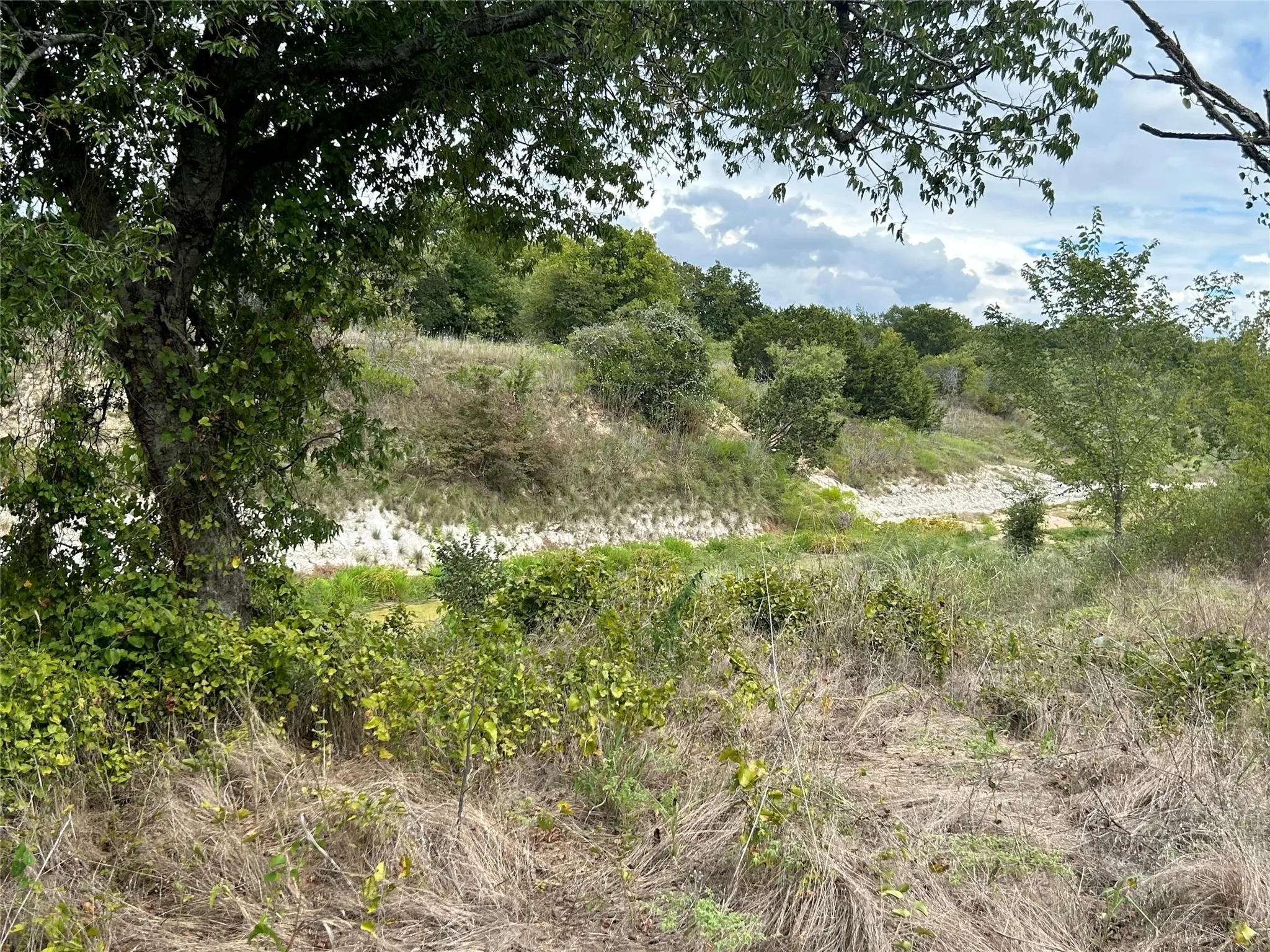 Bear Creek behind Lot 10