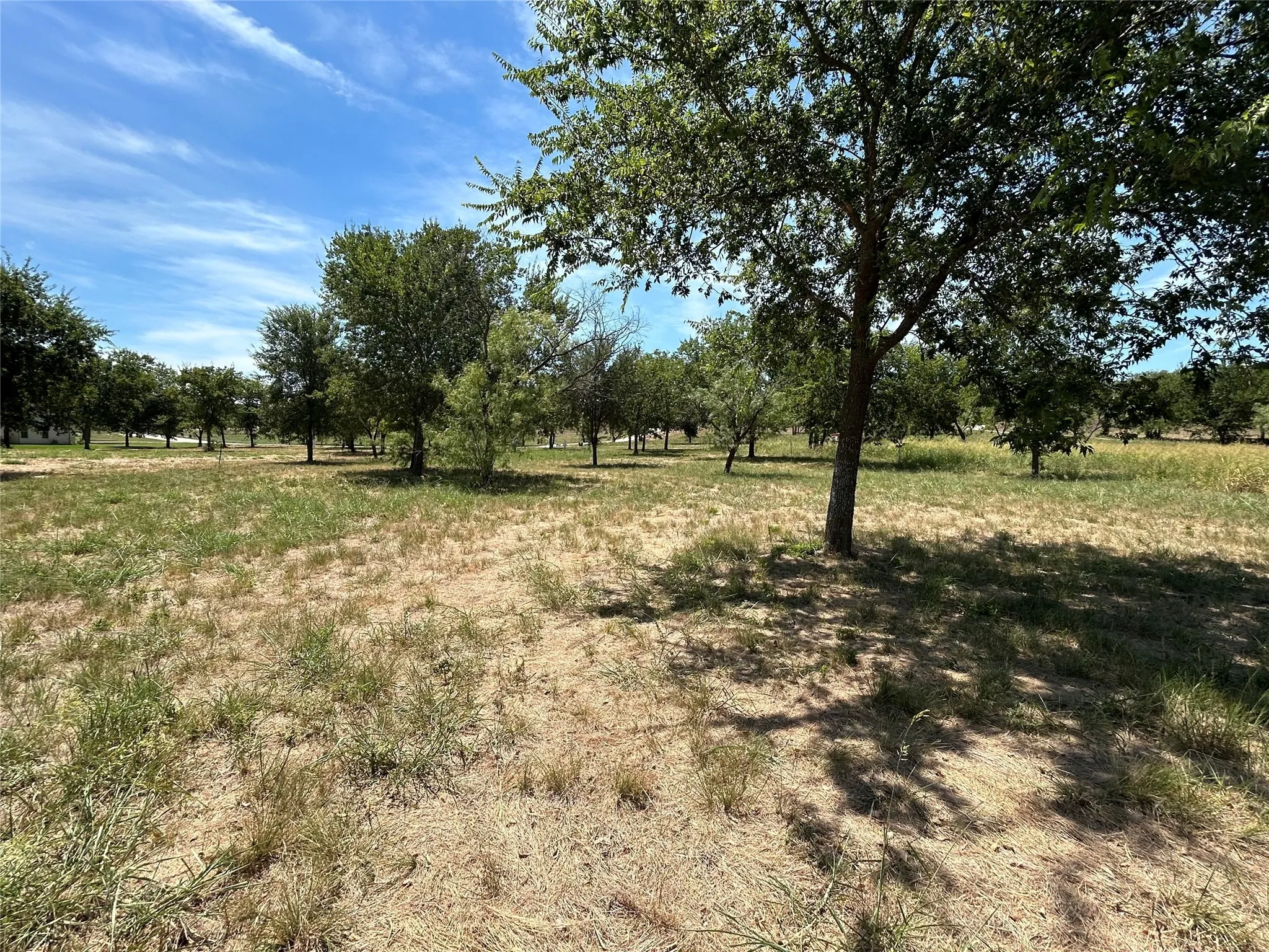Unimproved Land For Sale in Parker County , 3044 Winding Creek Trail, Aledo, Texas 76008, 0, 0, Garage spaces, 0 Sqft, built in 0, Price $245,000, mls#20157315, Real Estate Agent in Aledo, Homes For Sale in Parker county, Homes For Sale in Aledo, Realtor in Aledo Texas, Real Estate Brokerage Independent Realty Texas, Luminita Cordes Realtor