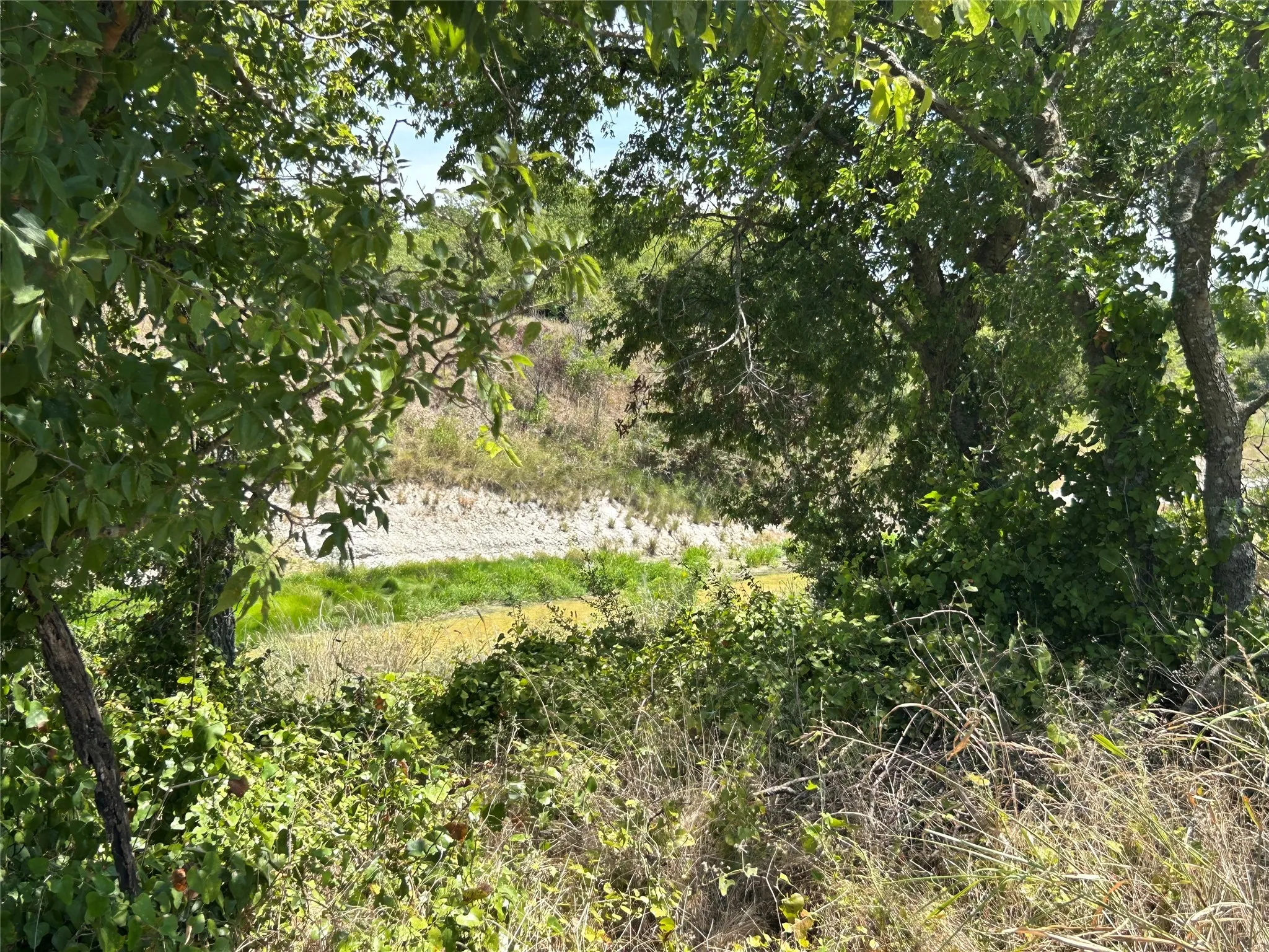 Bear Creek behind Lot 10