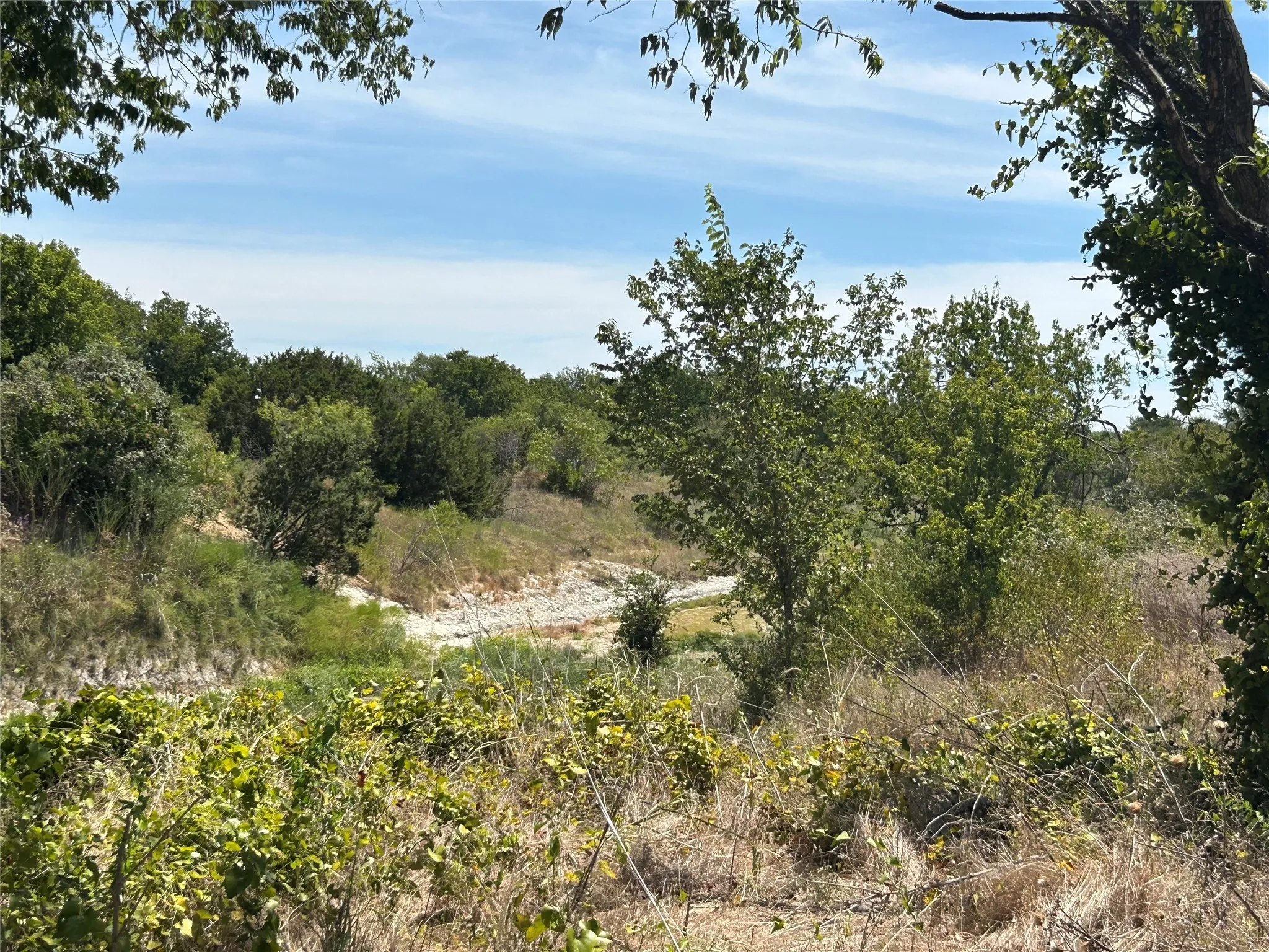 Bear Creek behind Lot 10
