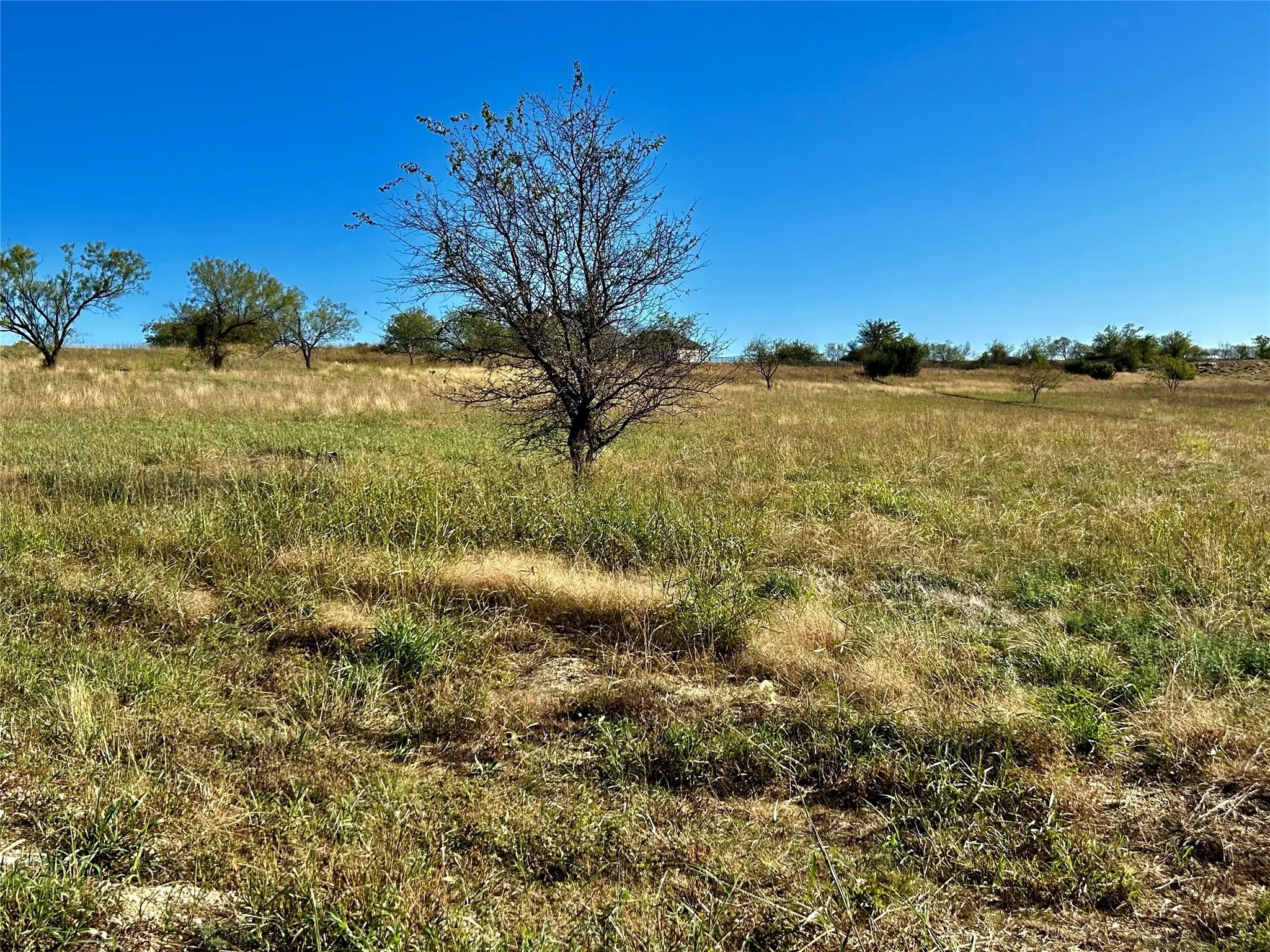 Unimproved Land For Sale in Parker County , TBD TBD2, Aledo, Texas 76008, 0, 0, Garage spaces, 0 Sqft, built in 0, Price $265,000, mls#20158034, Real Estate Agent in Aledo, Homes For Sale in Parker county, Homes For Sale in Aledo, Realtor in Aledo Texas, Real Estate Brokerage Independent Realty Texas, Luminita Cordes Realtor