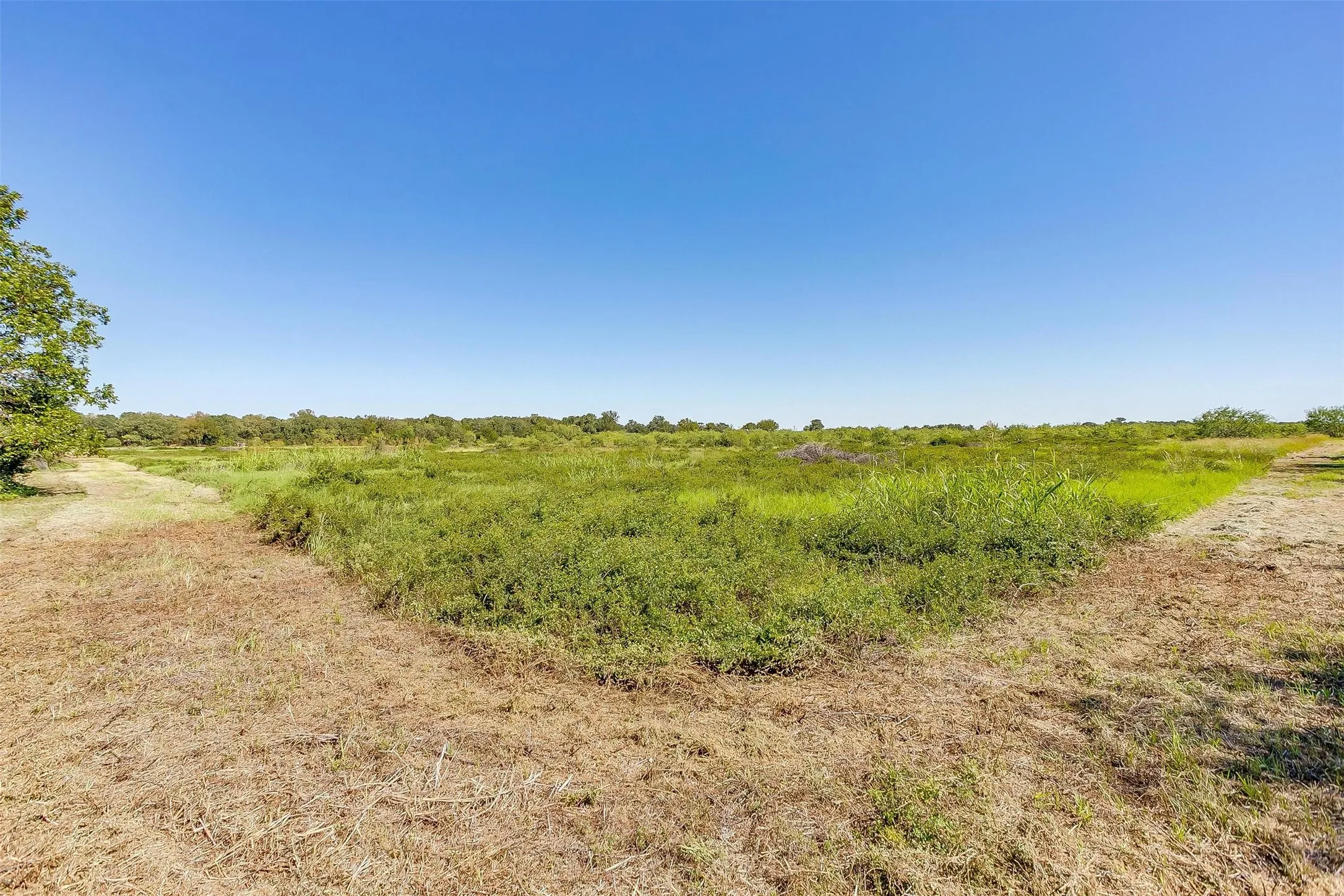 Unimproved Land For Sale in Johnson County , TBD2 County Road 1242, Cleburne, Texas 76033, 0, 0, Garage spaces, 0 Sqft, built in 0, mls#20176596, Real Estate Agent in Cleburne, Homes For Sale in Johnson county, Homes For Sale in Cleburne, Realtor in Cleburne Texas, Real Estate Brokerage Independent Realty Texas, Luminita Cordes Realtor