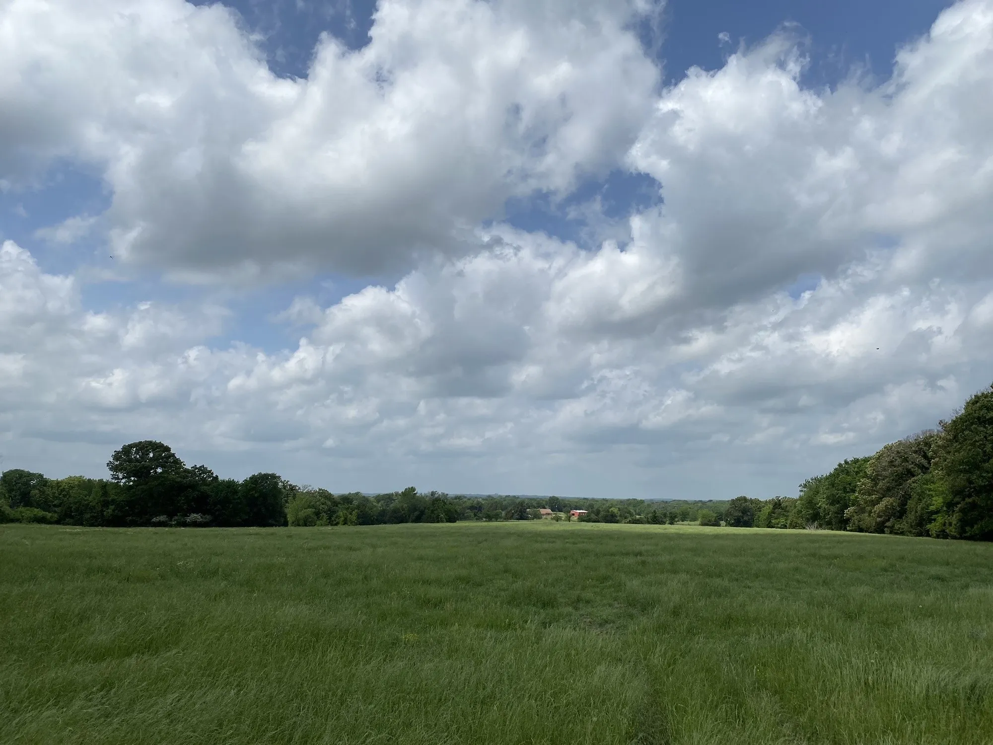 Unimproved Land For Sale in Van Zandt County , 3402 I-20 N, Van, Texas 75760, 0, 0, Garage spaces, 0 Sqft, built in 0, mls#20187882, Real Estate Agent in Van, Homes For Sale in Van Zandt county, Homes For Sale in Van, Realtor in Van Texas, Real Estate Brokerage Independent Realty Texas, Luminita Cordes Realtor