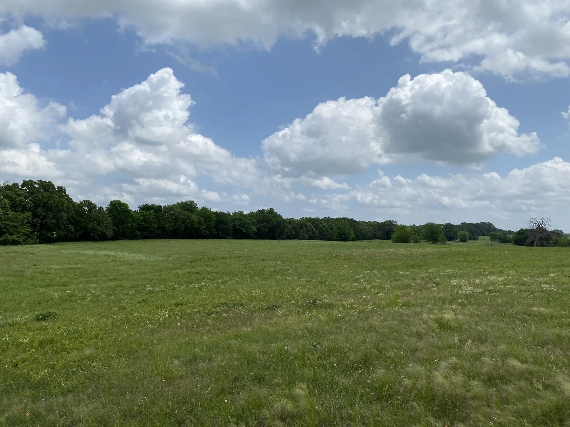 Unimproved Land For Sale in Van Zandt County , 3402 I-20 N, Van, Texas 75760, 0, 0, Garage spaces, 0 Sqft, built in 0, mls#20187882, Real Estate Agent in Van, Homes For Sale in Van Zandt county, Homes For Sale in Van, Realtor in Van Texas, Real Estate Brokerage Independent Realty Texas, Luminita Cordes Realtor