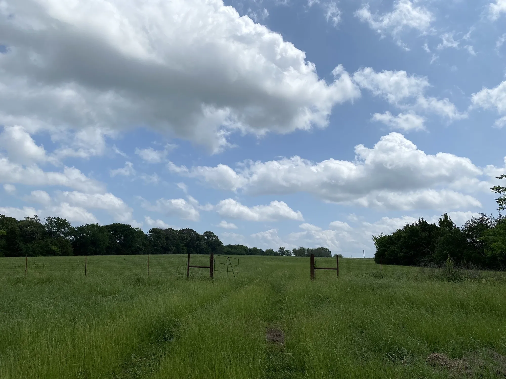 Unimproved Land For Sale in Van Zandt County , 3402 I-20 N, Van, Texas 75760, 0, 0, Garage spaces, 0 Sqft, built in 0, mls#20187882, Real Estate Agent in Van, Homes For Sale in Van Zandt county, Homes For Sale in Van, Realtor in Van Texas, Real Estate Brokerage Independent Realty Texas, Luminita Cordes Realtor