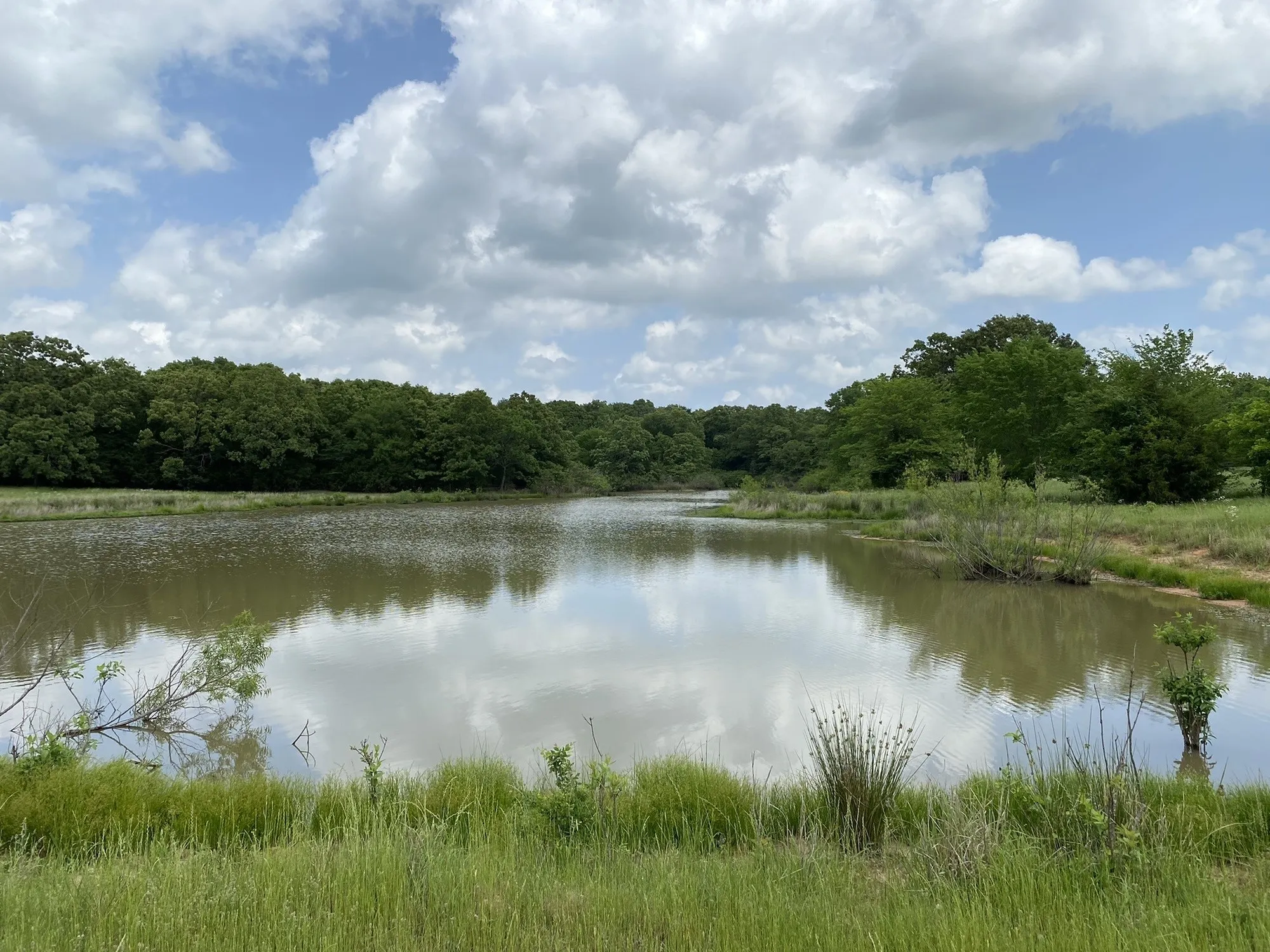 Unimproved Land For Sale in Van Zandt County , 3402 I-20 N, Van, Texas 75760, 0, 0, Garage spaces, 0 Sqft, built in 0, mls#20187882, Real Estate Agent in Van, Homes For Sale in Van Zandt county, Homes For Sale in Van, Realtor in Van Texas, Real Estate Brokerage Independent Realty Texas, Luminita Cordes Realtor