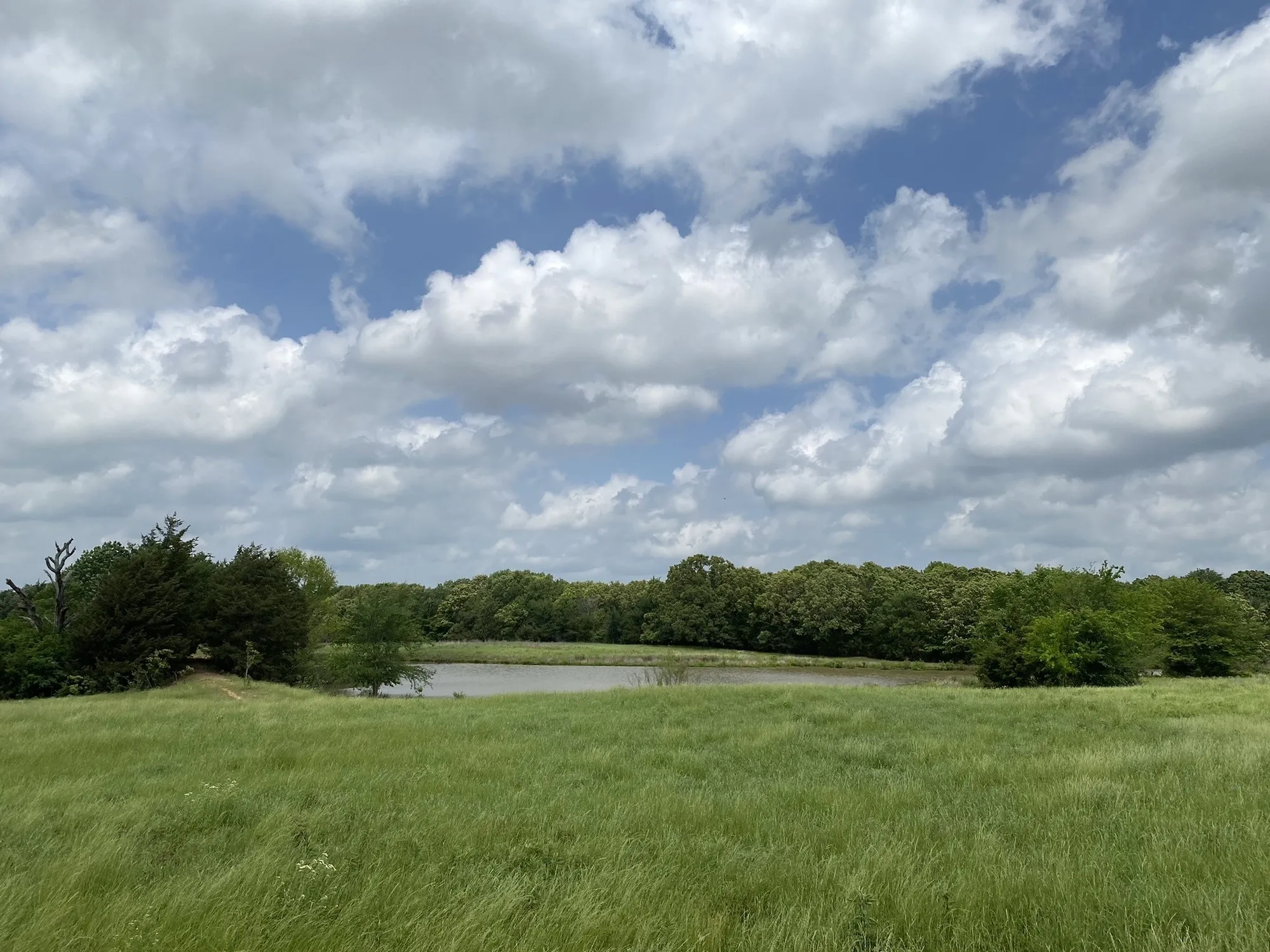 Unimproved Land For Sale in Van Zandt County , 3402 I-20 N, Van, Texas 75760, 0, 0, Garage spaces, 0 Sqft, built in 0, mls#20187882, Real Estate Agent in Van, Homes For Sale in Van Zandt county, Homes For Sale in Van, Realtor in Van Texas, Real Estate Brokerage Independent Realty Texas, Luminita Cordes Realtor
