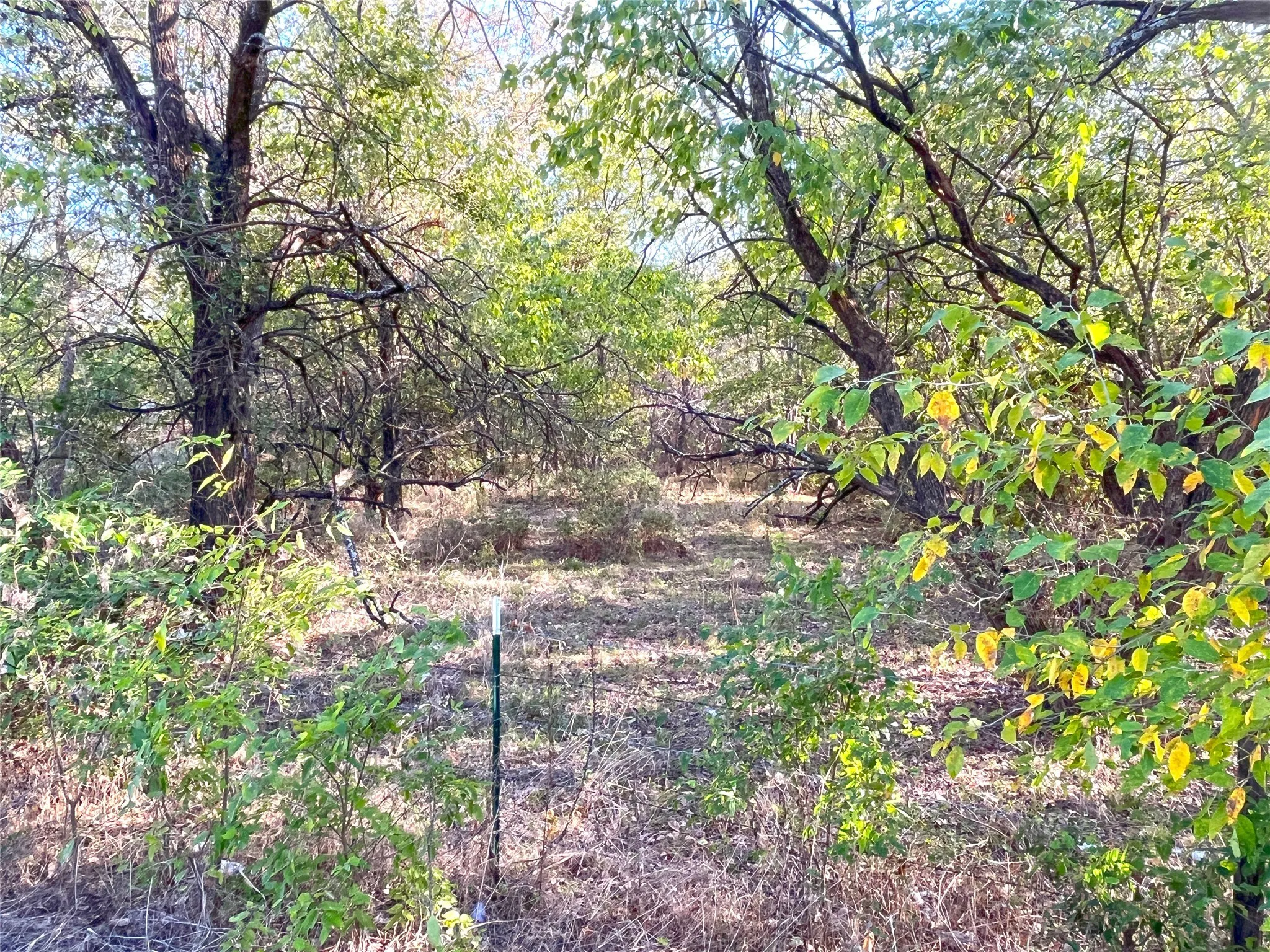 Unimproved Land For Sale in Grayson County , TBD HWY 289, Gunter, Texas 75058, 0, 0, Garage spaces, 0 Sqft, built in 0, mls#20186906, Real Estate Agent in Gunter, Homes For Sale in Grayson county, Homes For Sale in Gunter, Realtor in Gunter Texas, Real Estate Brokerage Independent Realty Texas, Luminita Cordes Realtor