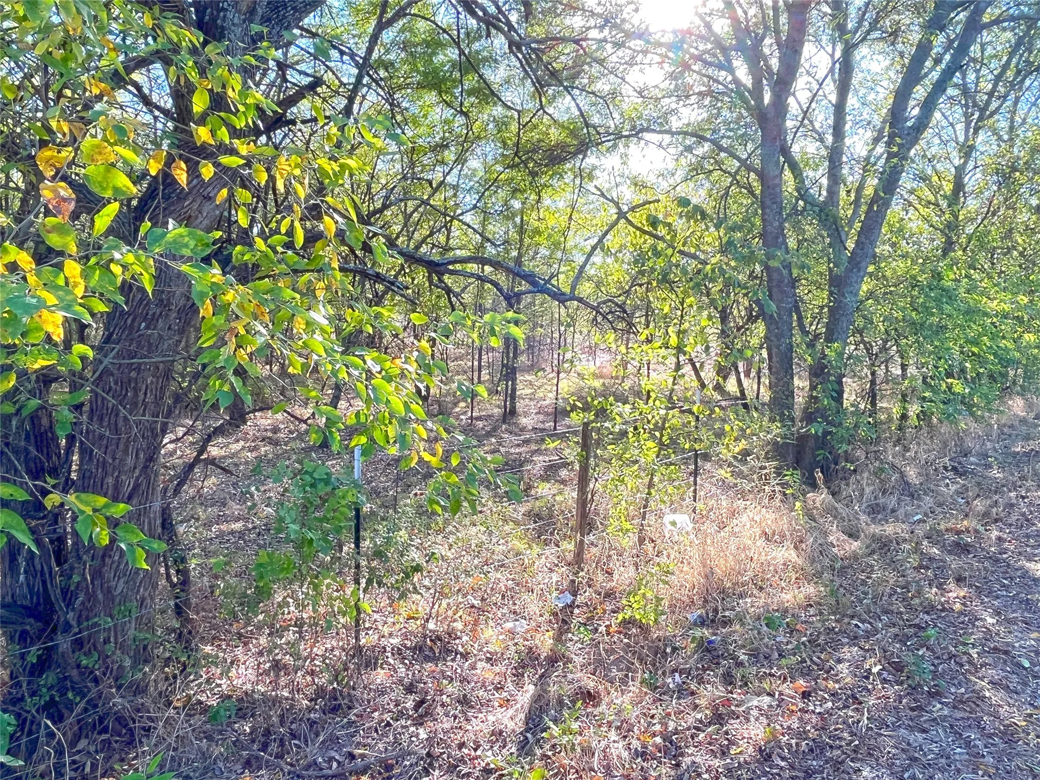 Unimproved Land For Sale in Grayson County , TBD HWY 289, Gunter, Texas 75058, 0, 0, Garage spaces, 0 Sqft, built in 0, mls#20186906, Real Estate Agent in Gunter, Homes For Sale in Grayson county, Homes For Sale in Gunter, Realtor in Gunter Texas, Real Estate Brokerage Independent Realty Texas, Luminita Cordes Realtor