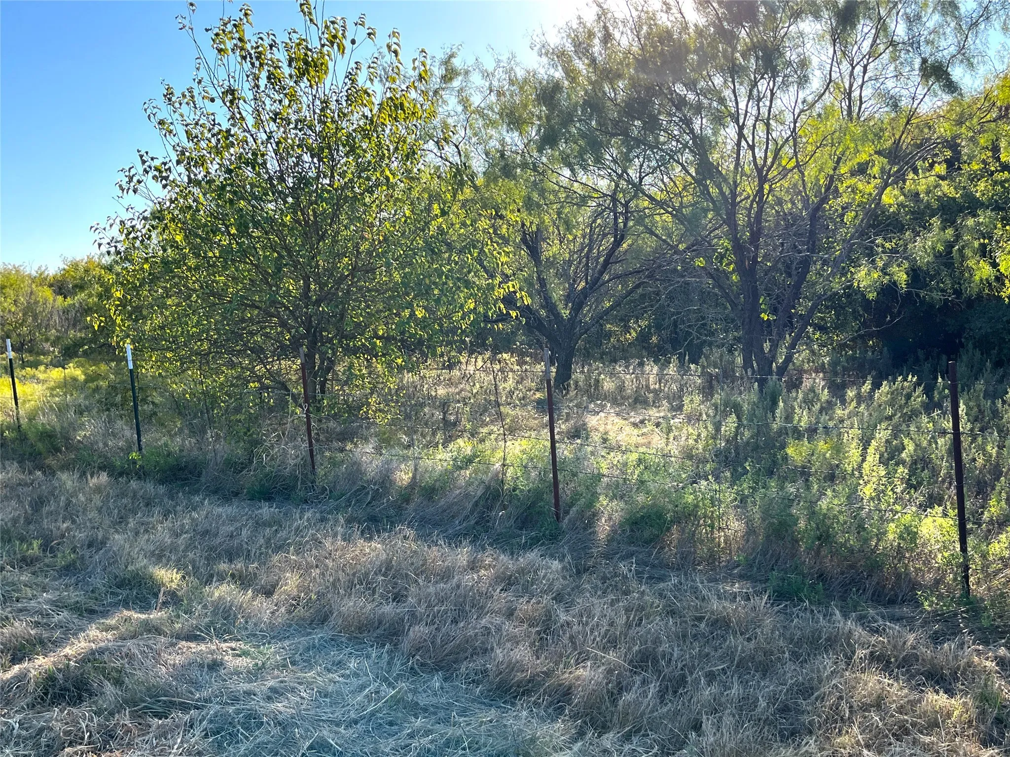 Unimproved Land For Sale in Grayson County , TBD HWY 289, Gunter, Texas 75058, 0, 0, Garage spaces, 0 Sqft, built in 0, mls#20186906, Real Estate Agent in Gunter, Homes For Sale in Grayson county, Homes For Sale in Gunter, Realtor in Gunter Texas, Real Estate Brokerage Independent Realty Texas, Luminita Cordes Realtor