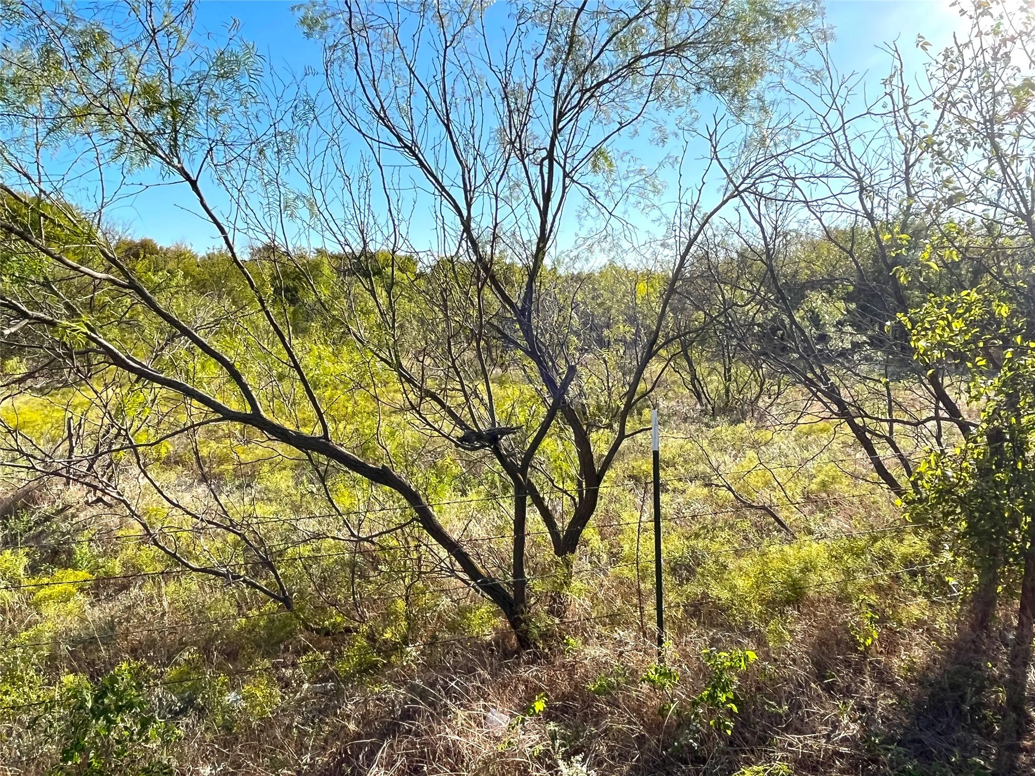 Unimproved Land For Sale in Grayson County , TBD HWY 289, Gunter, Texas 75058, 0, 0, Garage spaces, 0 Sqft, built in 0, mls#20186906, Real Estate Agent in Gunter, Homes For Sale in Grayson county, Homes For Sale in Gunter, Realtor in Gunter Texas, Real Estate Brokerage Independent Realty Texas, Luminita Cordes Realtor
