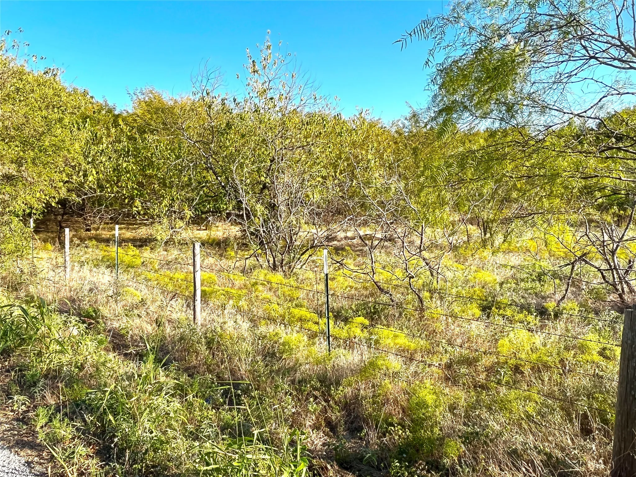 Unimproved Land For Sale in Grayson County , TBD HWY 289, Gunter, Texas 75058, 0, 0, Garage spaces, 0 Sqft, built in 0, mls#20186906, Real Estate Agent in Gunter, Homes For Sale in Grayson county, Homes For Sale in Gunter, Realtor in Gunter Texas, Real Estate Brokerage Independent Realty Texas, Luminita Cordes Realtor