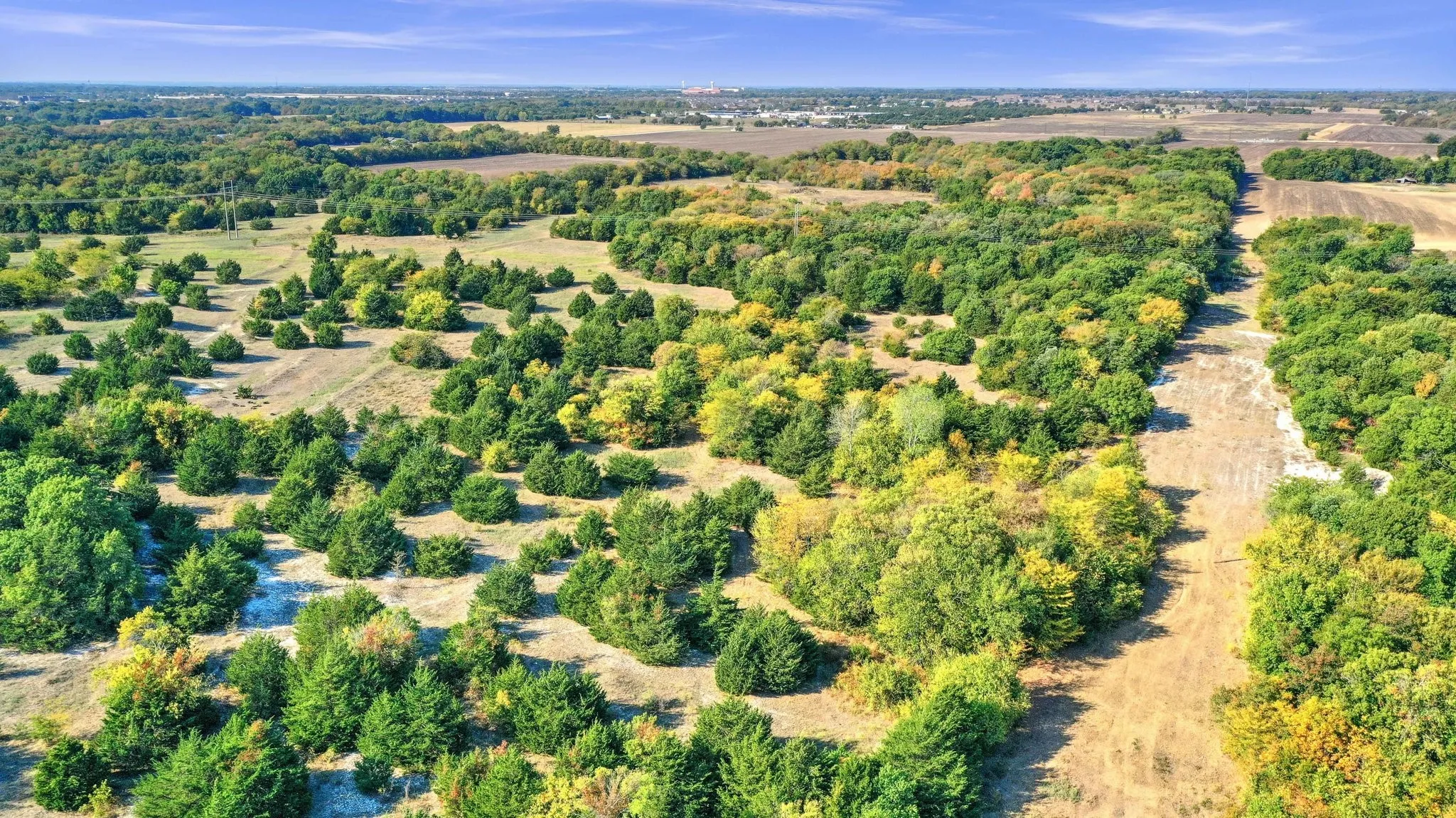 Unimproved Land For Sale in Collin County , TBD County Road 429, Anna, Texas 75409, 0, 0, Garage spaces, 0 Sqft, built in 0, Price $1,600,000, mls#20181655, Real Estate Agent in Anna, Homes For Sale in Collin county, Homes For Sale in Anna, Realtor in Anna Texas, Real Estate Brokerage Independent Realty Texas, Luminita Cordes Realtor