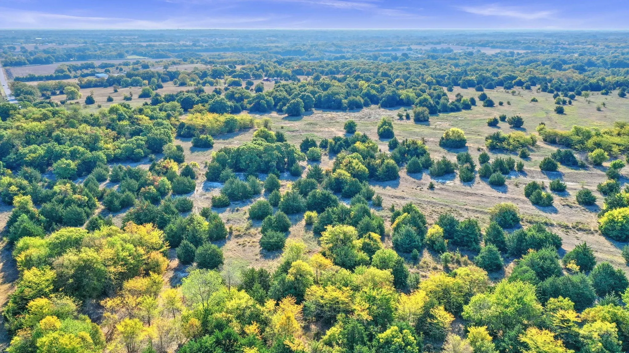 Unimproved Land For Sale in Collin County , TBD County Road 429, Anna, Texas 75409, 0, 0, Garage spaces, 0 Sqft, built in 0, Price $1,600,000, mls#20181655, Real Estate Agent in Anna, Homes For Sale in Collin county, Homes For Sale in Anna, Realtor in Anna Texas, Real Estate Brokerage Independent Realty Texas, Luminita Cordes Realtor