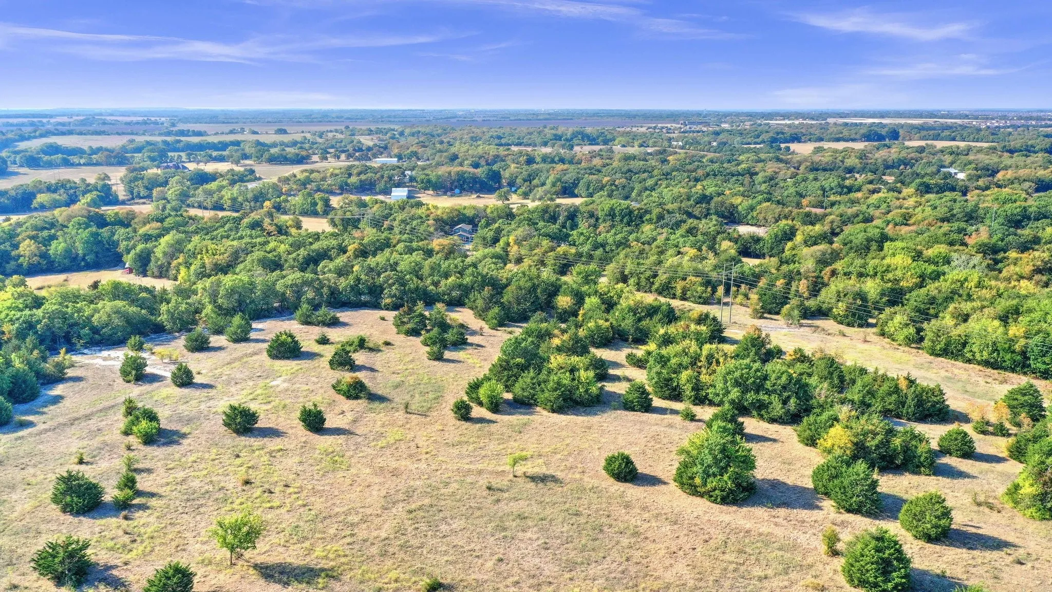 Unimproved Land For Sale in Collin County , TBD County Road 429, Anna, Texas 75409, 0, 0, Garage spaces, 0 Sqft, built in 0, Price $1,600,000, mls#20181655, Real Estate Agent in Anna, Homes For Sale in Collin county, Homes For Sale in Anna, Realtor in Anna Texas, Real Estate Brokerage Independent Realty Texas, Luminita Cordes Realtor