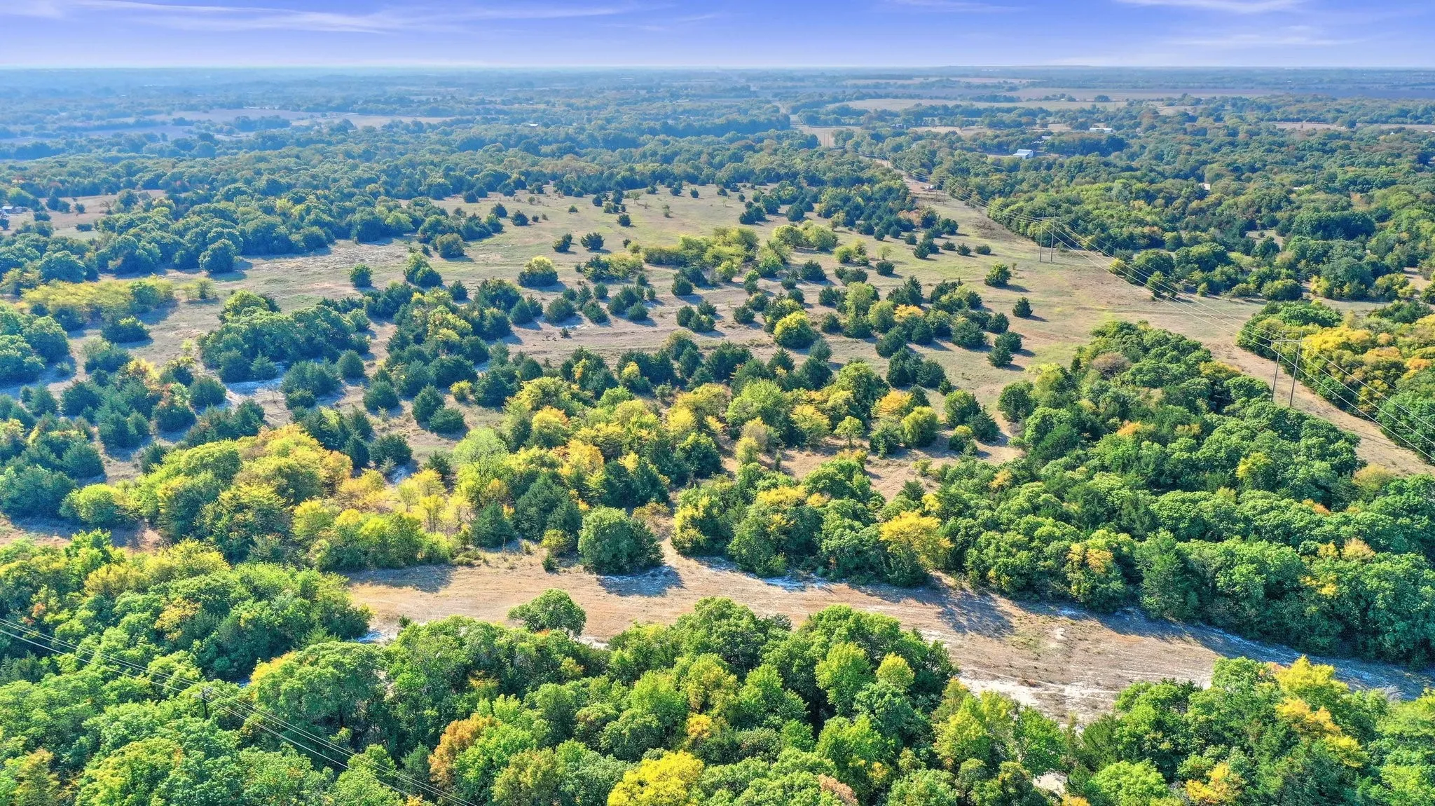 Unimproved Land For Sale in Collin County , TBD County Road 429, Anna, Texas 75409, 0, 0, Garage spaces, 0 Sqft, built in 0, Price $1,600,000, mls#20181655, Real Estate Agent in Anna, Homes For Sale in Collin county, Homes For Sale in Anna, Realtor in Anna Texas, Real Estate Brokerage Independent Realty Texas, Luminita Cordes Realtor