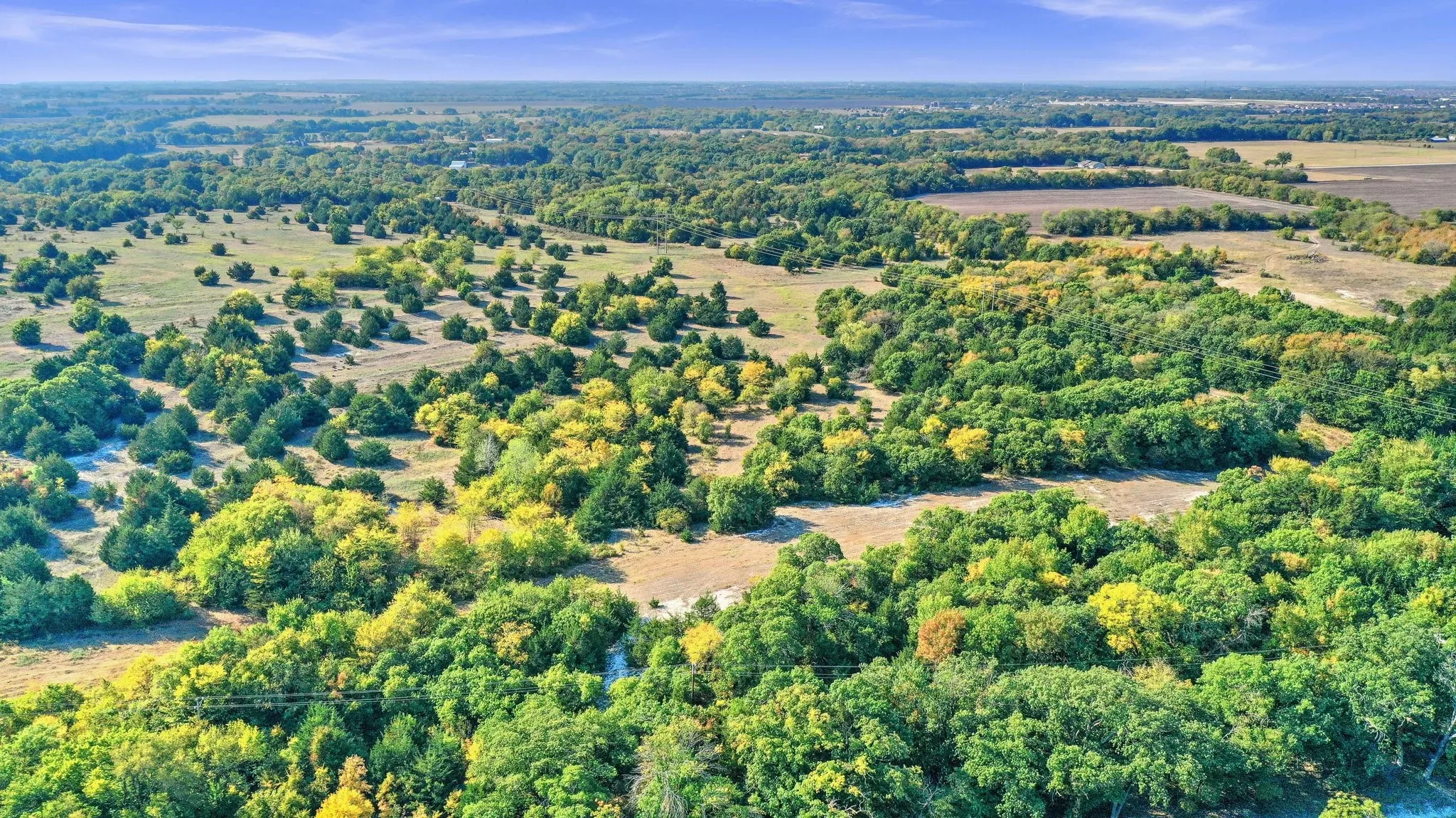 Unimproved Land For Sale in Collin County , TBD County Road 429, Anna, Texas 75409, 0, 0, Garage spaces, 0 Sqft, built in 0, Price $1,600,000, mls#20181655, Real Estate Agent in Anna, Homes For Sale in Collin county, Homes For Sale in Anna, Realtor in Anna Texas, Real Estate Brokerage Independent Realty Texas, Luminita Cordes Realtor