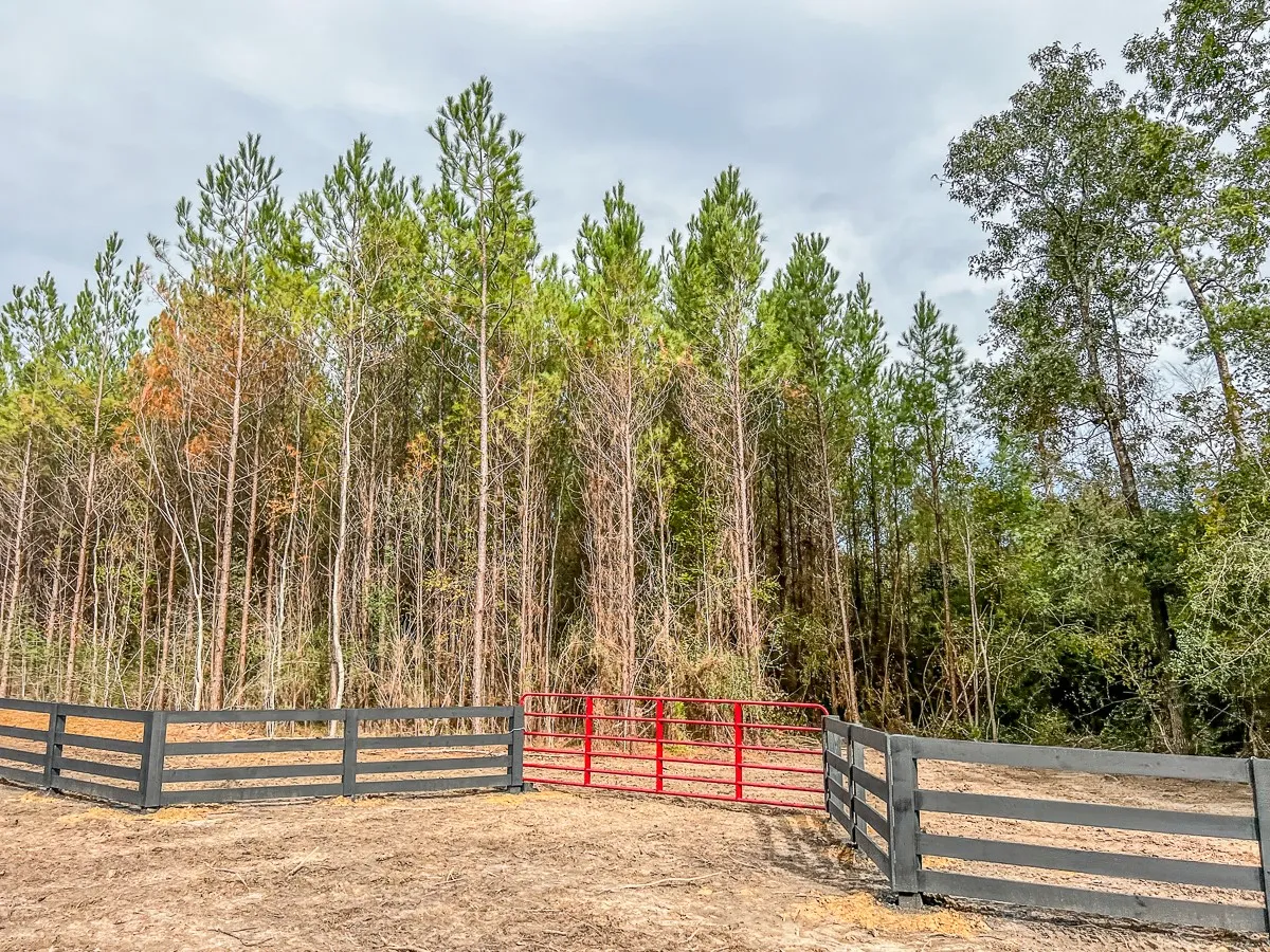 Ranch For Sale in Liberty County , 07 CR 2305 S, Cleveland, Texas 77327, 0, 0, Garage spaces, 0 Sqft, built in 0, Price $133,000, mls#20237920, Real Estate Agent in Cleveland, Homes For Sale in Liberty county, Homes For Sale in Cleveland, Realtor in Cleveland Texas, Real Estate Brokerage Independent Realty Texas, Luminita Cordes Realtor
