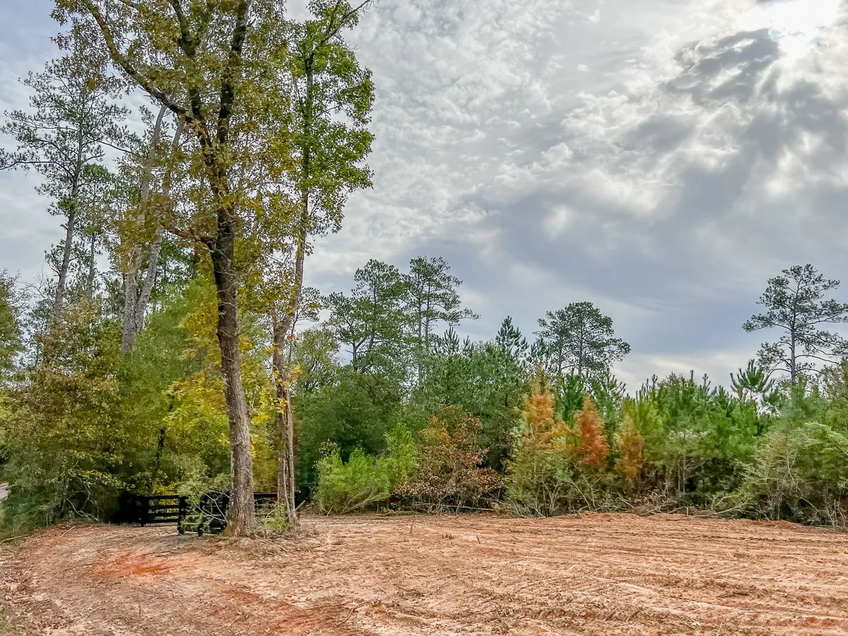 Ranch For Sale in Liberty County , 07 CR 2305 S, Cleveland, Texas 77327, 0, 0, Garage spaces, 0 Sqft, built in 0, Price $133,000, mls#20237920, Real Estate Agent in Cleveland, Homes For Sale in Liberty county, Homes For Sale in Cleveland, Realtor in Cleveland Texas, Real Estate Brokerage Independent Realty Texas, Luminita Cordes Realtor