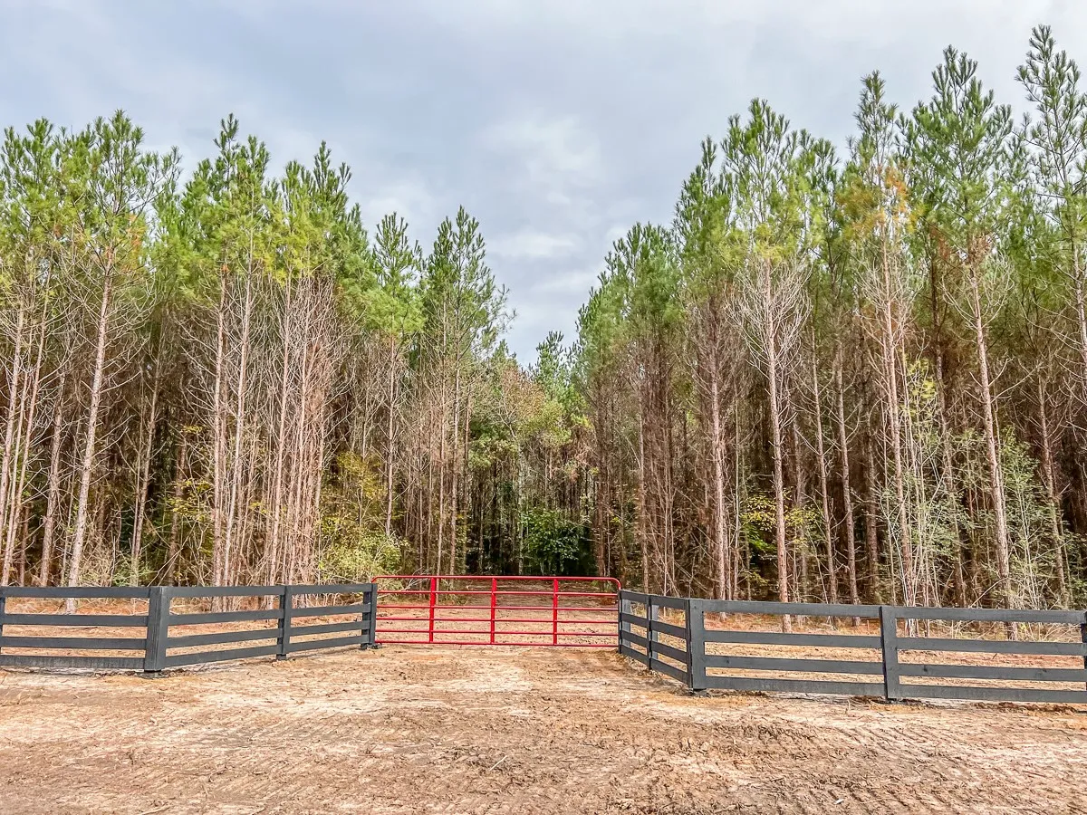 Ranch For Sale in Liberty County , 011 CR 2307, Cleveland, Texas 77327, 0, 0, Garage spaces, 0 Sqft, built in 0, mls#20238217, Real Estate Agent in Cleveland, Homes For Sale in Liberty county, Homes For Sale in Cleveland, Realtor in Cleveland Texas, Real Estate Brokerage Independent Realty Texas, Luminita Cordes Realtor