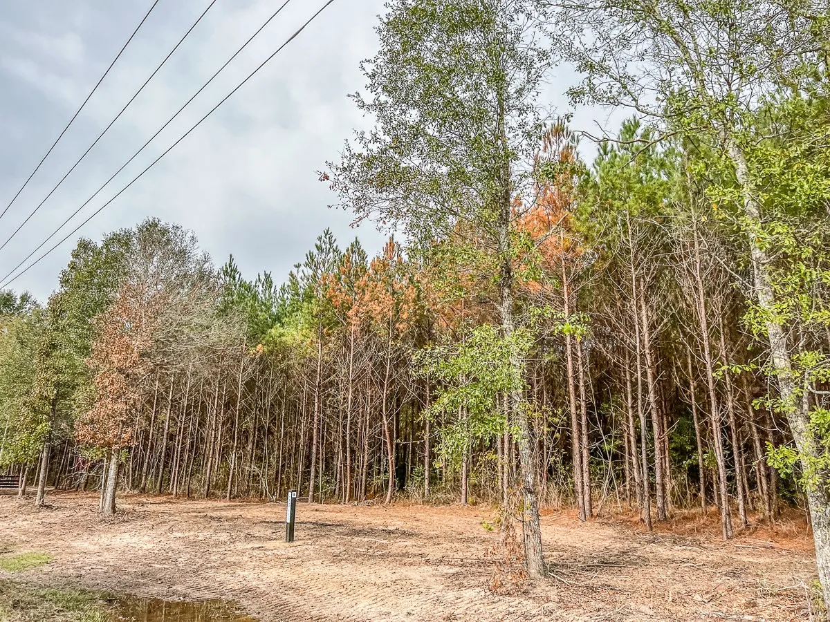 Ranch For Sale in Liberty County , 011 CR 2307, Cleveland, Texas 77327, 0, 0, Garage spaces, 0 Sqft, built in 0, mls#20238217, Real Estate Agent in Cleveland, Homes For Sale in Liberty county, Homes For Sale in Cleveland, Realtor in Cleveland Texas, Real Estate Brokerage Independent Realty Texas, Luminita Cordes Realtor