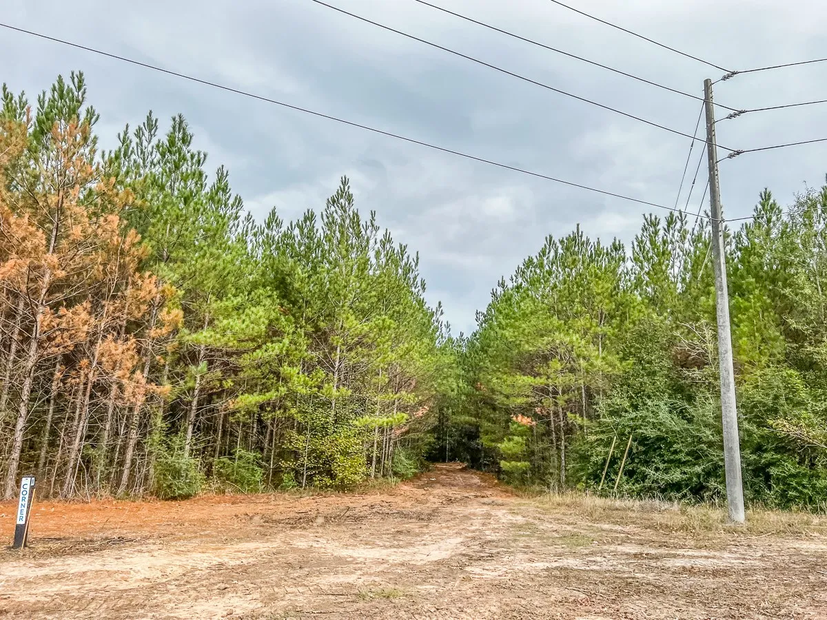 Ranch For Sale in Liberty County , 011 CR 2307, Cleveland, Texas 77327, 0, 0, Garage spaces, 0 Sqft, built in 0, mls#20238217, Real Estate Agent in Cleveland, Homes For Sale in Liberty county, Homes For Sale in Cleveland, Realtor in Cleveland Texas, Real Estate Brokerage Independent Realty Texas, Luminita Cordes Realtor