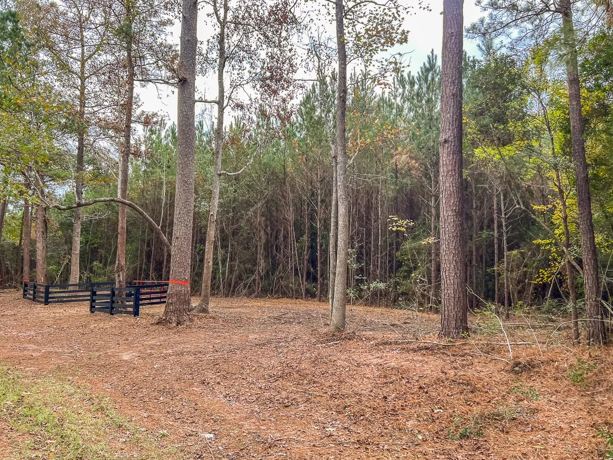 Ranch For Sale in Liberty County , 011 CR 2307, Cleveland, Texas 77327, 0, 0, Garage spaces, 0 Sqft, built in 0, mls#20238217, Real Estate Agent in Cleveland, Homes For Sale in Liberty county, Homes For Sale in Cleveland, Realtor in Cleveland Texas, Real Estate Brokerage Independent Realty Texas, Luminita Cordes Realtor