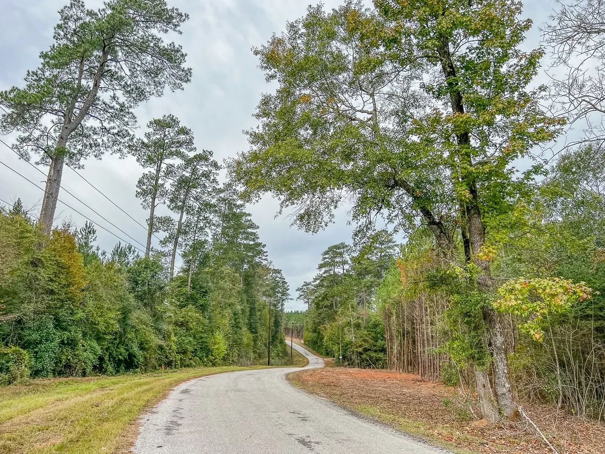 Ranch For Sale in Liberty County , 011 CR 2307, Cleveland, Texas 77327, 0, 0, Garage spaces, 0 Sqft, built in 0, mls#20238217, Real Estate Agent in Cleveland, Homes For Sale in Liberty county, Homes For Sale in Cleveland, Realtor in Cleveland Texas, Real Estate Brokerage Independent Realty Texas, Luminita Cordes Realtor