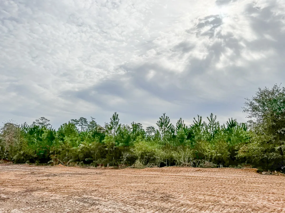Ranch For Sale in Liberty County , 012 CR 2307, Cleveland, Texas 77327, 0, 0, Garage spaces, 0 Sqft, built in 0, mls#20238264, Real Estate Agent in Cleveland, Homes For Sale in Liberty county, Homes For Sale in Cleveland, Realtor in Cleveland Texas, Real Estate Brokerage Independent Realty Texas, Luminita Cordes Realtor