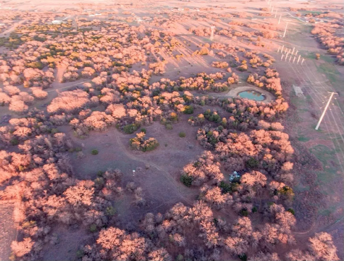 Unimproved Land For Sale in Erath County , TBD County Road 275, Stephenville, Texas 76401, 0, 0, Garage spaces, 0 Sqft, built in 0, mls#20239507, Real Estate Agent in Stephenville, Homes For Sale in Erath county, Homes For Sale in Stephenville, Realtor in Stephenville Texas, Real Estate Brokerage Independent Realty Texas, Luminita Cordes Realtor