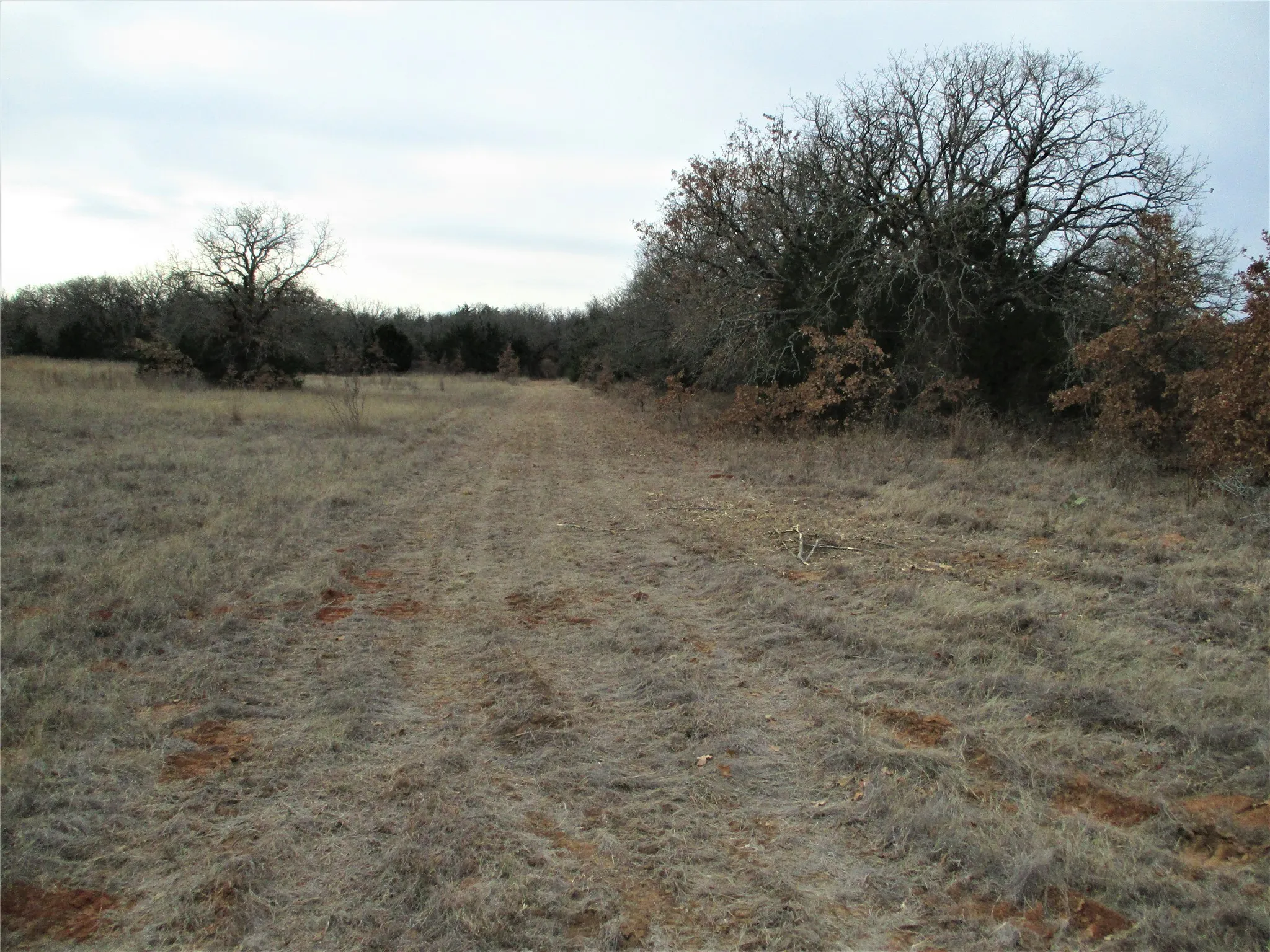 Unimproved Land For Sale in Montague County , Tr 4 Catholic Cemetery, Montague, Texas 76251, 0, 0, Garage spaces, 0 Sqft, built in 0, Price $372,900, mls#20252150, Real Estate Agent in Montague, Homes For Sale in Montague county, Homes For Sale in Montague, Realtor in Montague Texas, Real Estate Brokerage Independent Realty Texas, Luminita Cordes Realtor