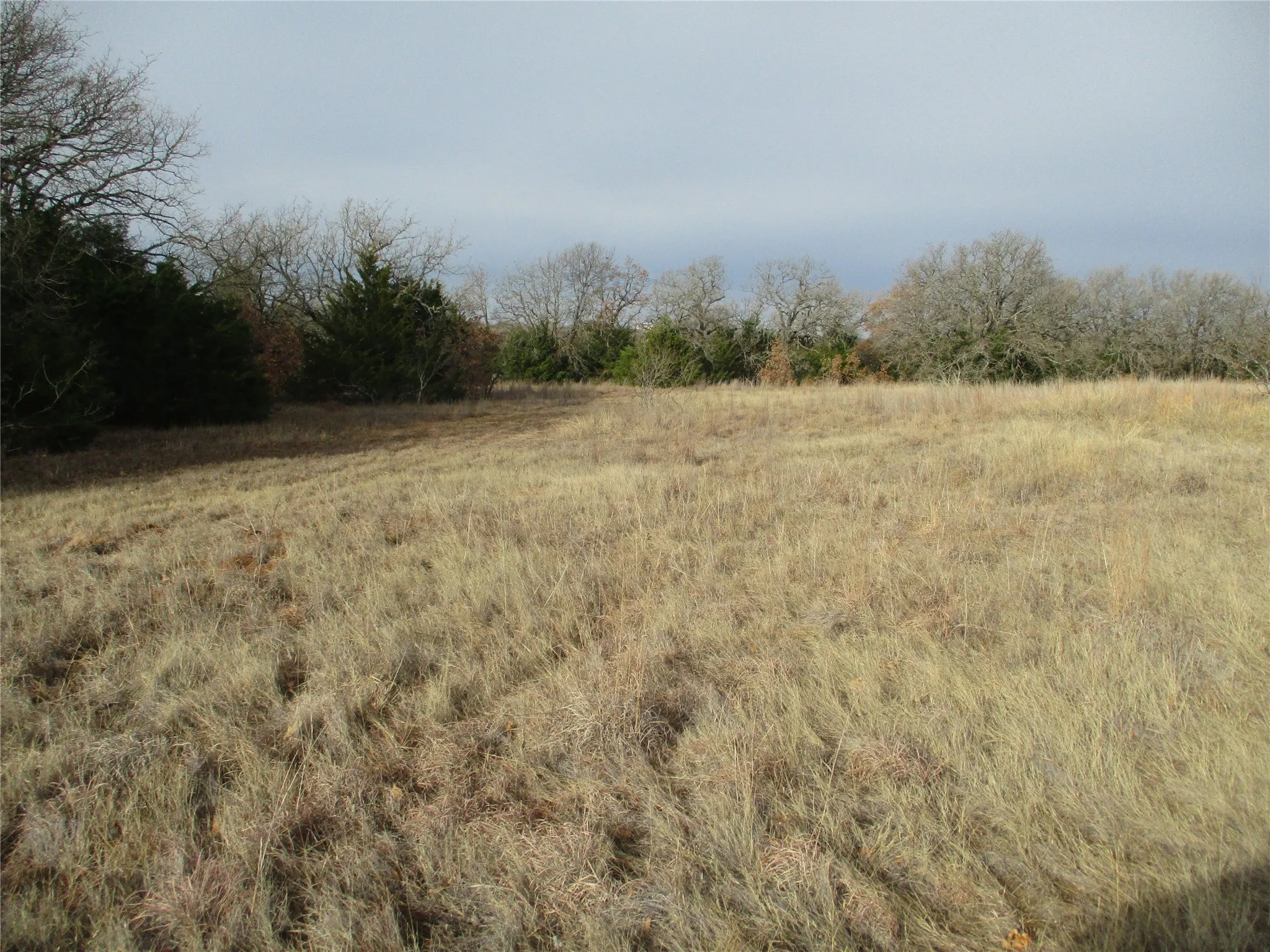 Unimproved Land For Sale in Montague County , Tr 4 Catholic Cemetery, Montague, Texas 76251, 0, 0, Garage spaces, 0 Sqft, built in 0, Price $372,900, mls#20252150, Real Estate Agent in Montague, Homes For Sale in Montague county, Homes For Sale in Montague, Realtor in Montague Texas, Real Estate Brokerage Independent Realty Texas, Luminita Cordes Realtor