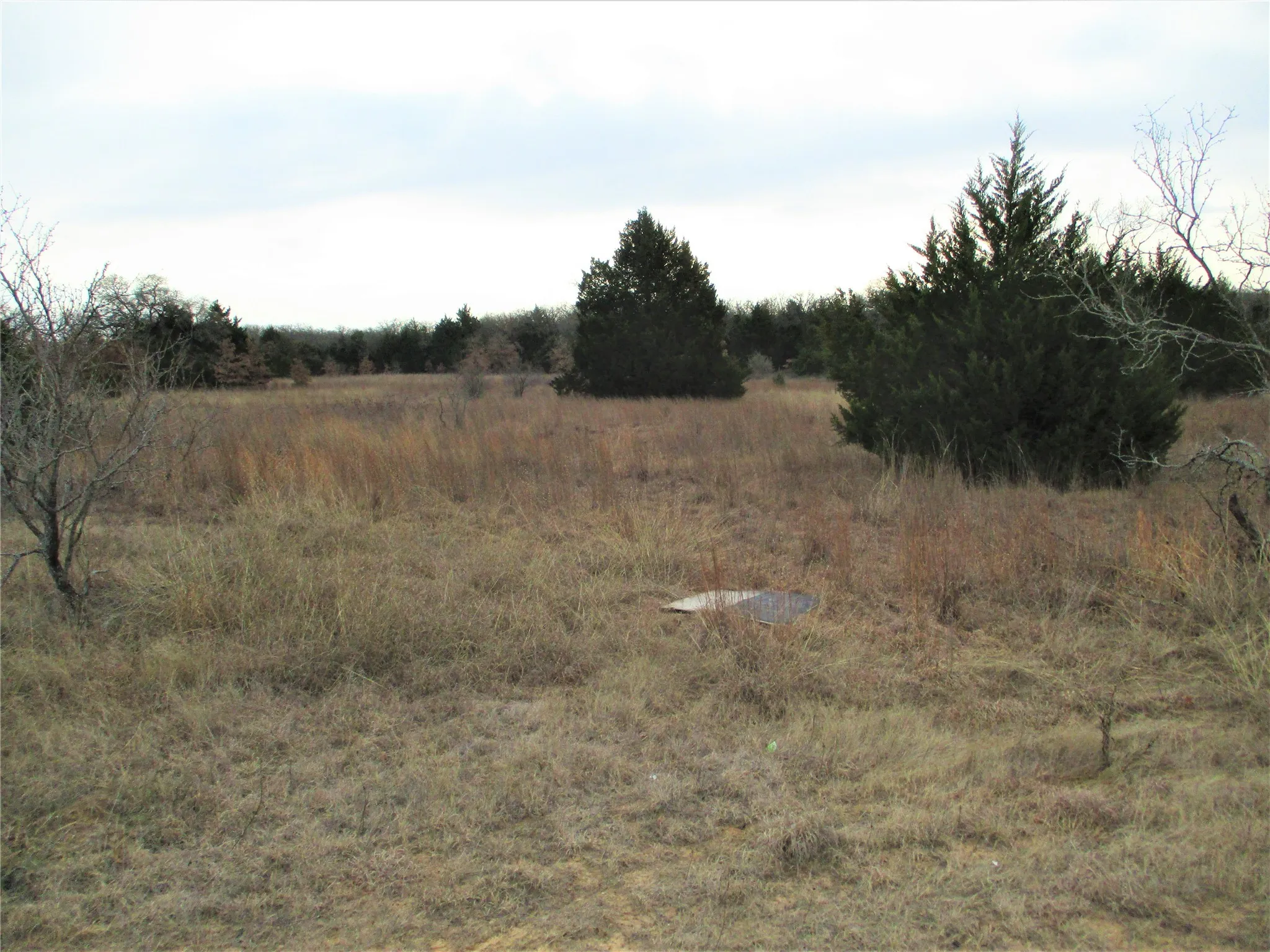 Unimproved Land For Sale in Montague County , Tr 4 Catholic Cemetery, Montague, Texas 76251, 0, 0, Garage spaces, 0 Sqft, built in 0, Price $372,900, mls#20252150, Real Estate Agent in Montague, Homes For Sale in Montague county, Homes For Sale in Montague, Realtor in Montague Texas, Real Estate Brokerage Independent Realty Texas, Luminita Cordes Realtor