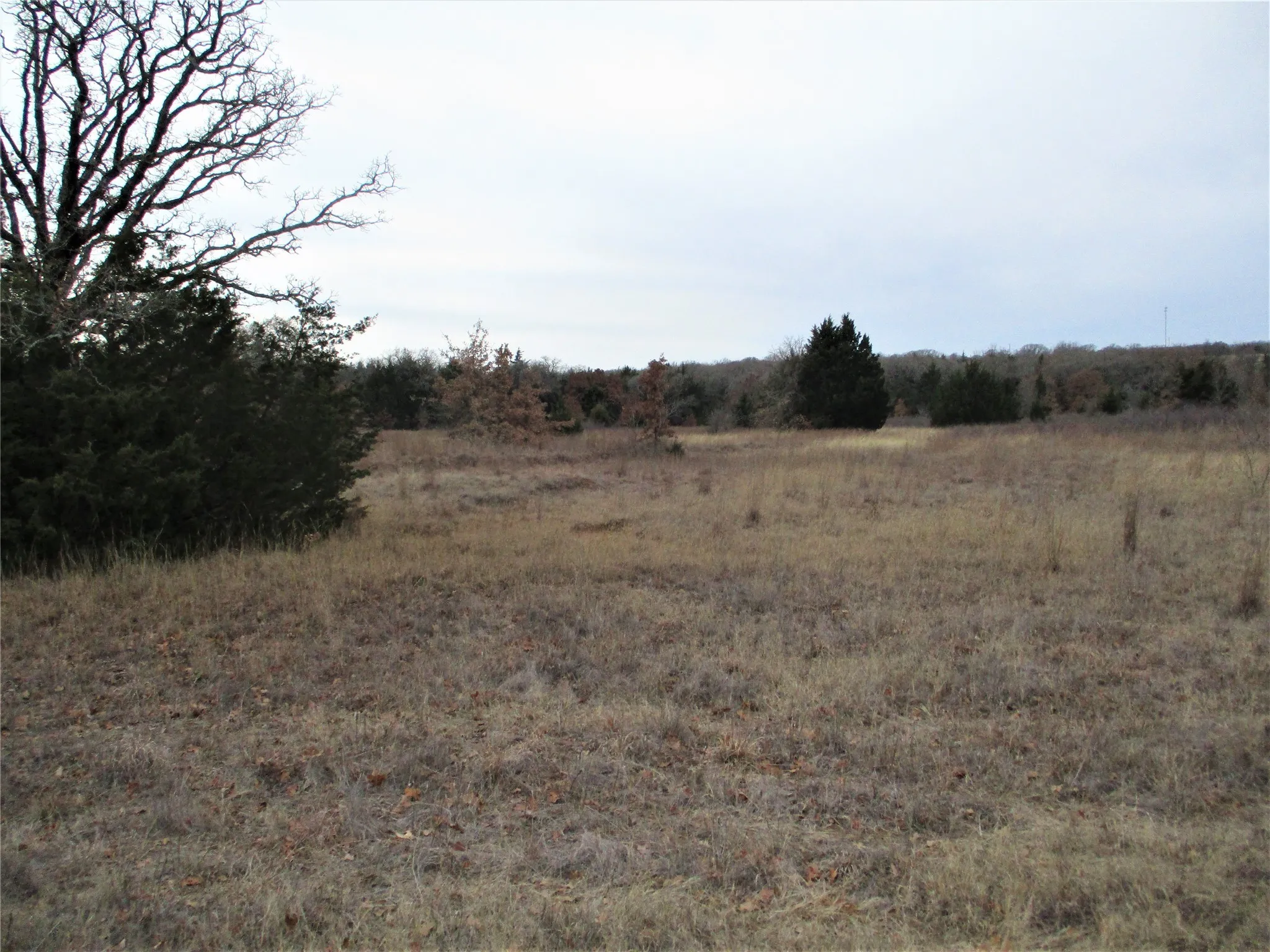 Unimproved Land For Sale in Montague County , Tr 4 Catholic Cemetery, Montague, Texas 76251, 0, 0, Garage spaces, 0 Sqft, built in 0, Price $372,900, mls#20252150, Real Estate Agent in Montague, Homes For Sale in Montague county, Homes For Sale in Montague, Realtor in Montague Texas, Real Estate Brokerage Independent Realty Texas, Luminita Cordes Realtor
