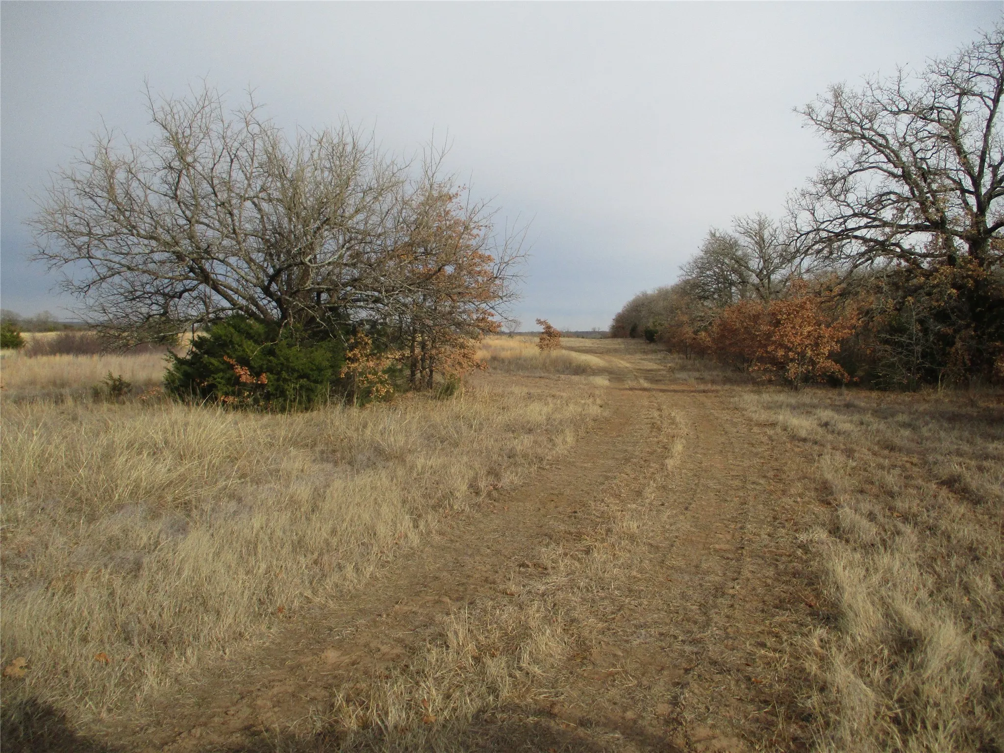 Unimproved Land For Sale in Montague County , Tr 4 Catholic Cemetery, Montague, Texas 76251, 0, 0, Garage spaces, 0 Sqft, built in 0, Price $372,900, mls#20252150, Real Estate Agent in Montague, Homes For Sale in Montague county, Homes For Sale in Montague, Realtor in Montague Texas, Real Estate Brokerage Independent Realty Texas, Luminita Cordes Realtor