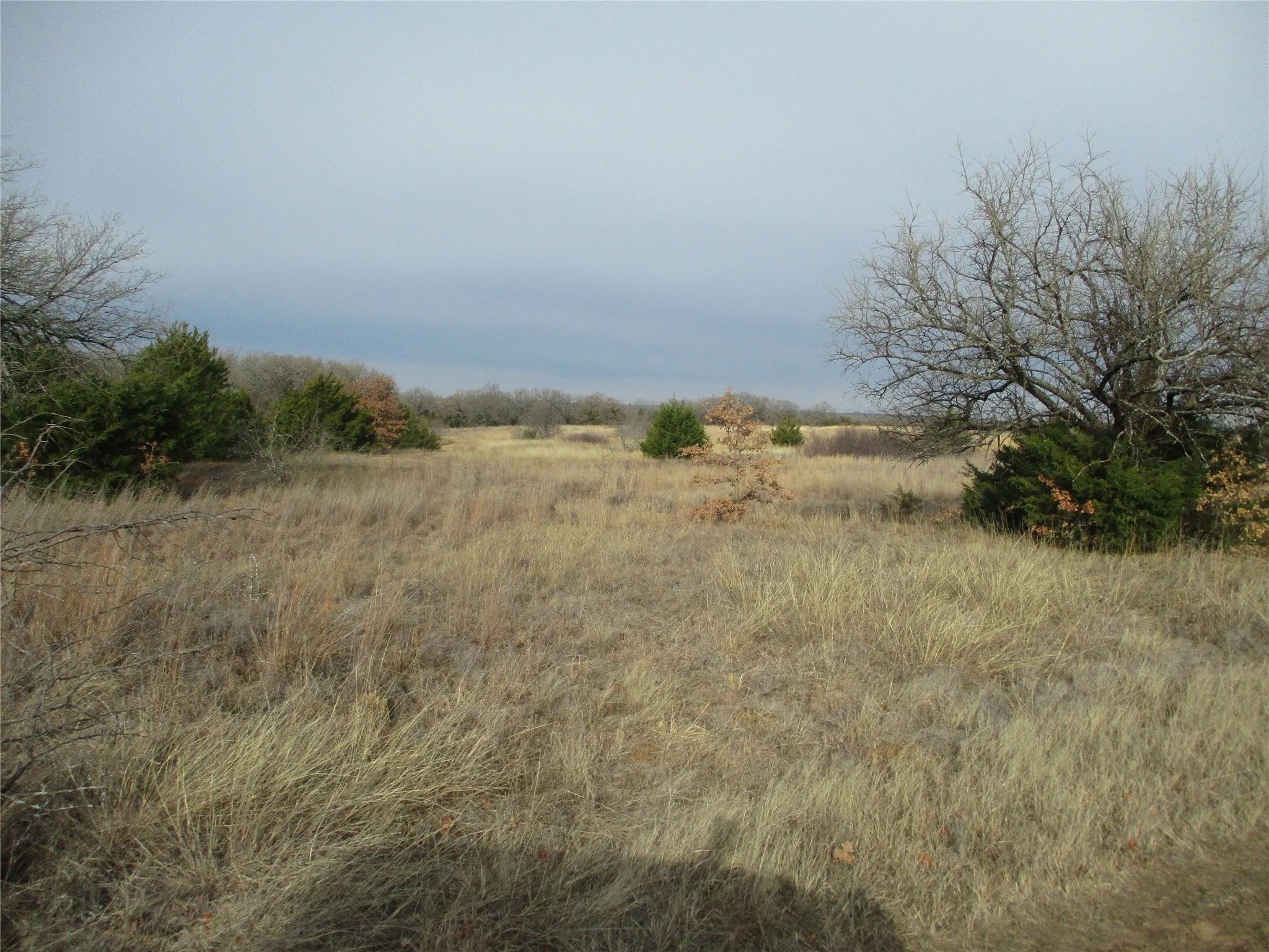 Unimproved Land For Sale in Montague County , Tr 4 Catholic Cemetery, Montague, Texas 76251, 0, 0, Garage spaces, 0 Sqft, built in 0, Price $372,900, mls#20252150, Real Estate Agent in Montague, Homes For Sale in Montague county, Homes For Sale in Montague, Realtor in Montague Texas, Real Estate Brokerage Independent Realty Texas, Luminita Cordes Realtor