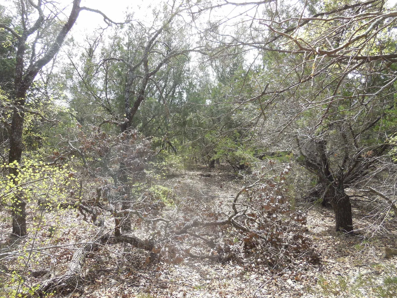 Unimproved Land For Sale in Eastland County , Lot 3-4 Southview Lane, Eastland, Texas 76448, 0, 0, Garage spaces, 0 Sqft, built in 0, mls#20277870, Real Estate Agent in Eastland, Homes For Sale in Eastland county, Homes For Sale in Eastland, Realtor in Eastland Texas, Real Estate Brokerage Independent Realty Texas, Luminita Cordes Realtor