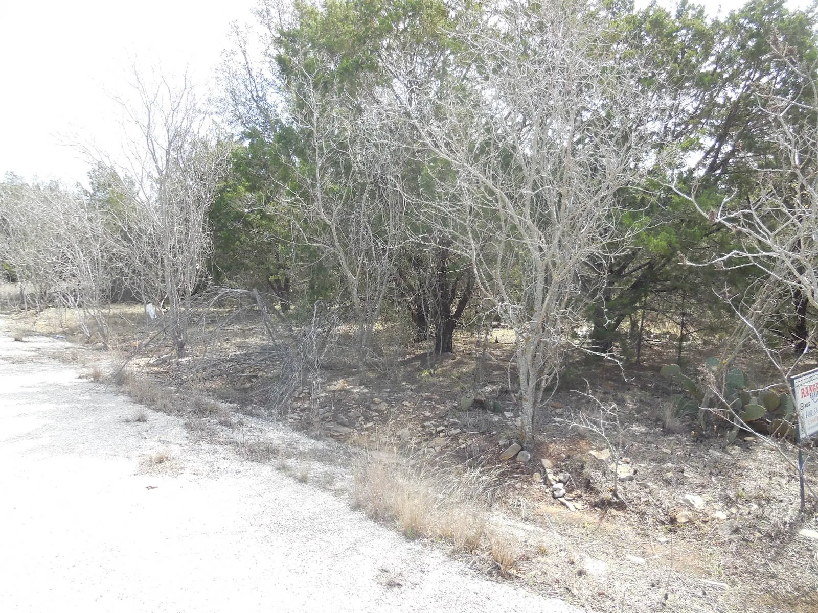 Unimproved Land For Sale in Eastland County , Lot 3-4 Southview Lane, Eastland, Texas 76448, 0, 0, Garage spaces, 0 Sqft, built in 0, mls#20277870, Real Estate Agent in Eastland, Homes For Sale in Eastland county, Homes For Sale in Eastland, Realtor in Eastland Texas, Real Estate Brokerage Independent Realty Texas, Luminita Cordes Realtor