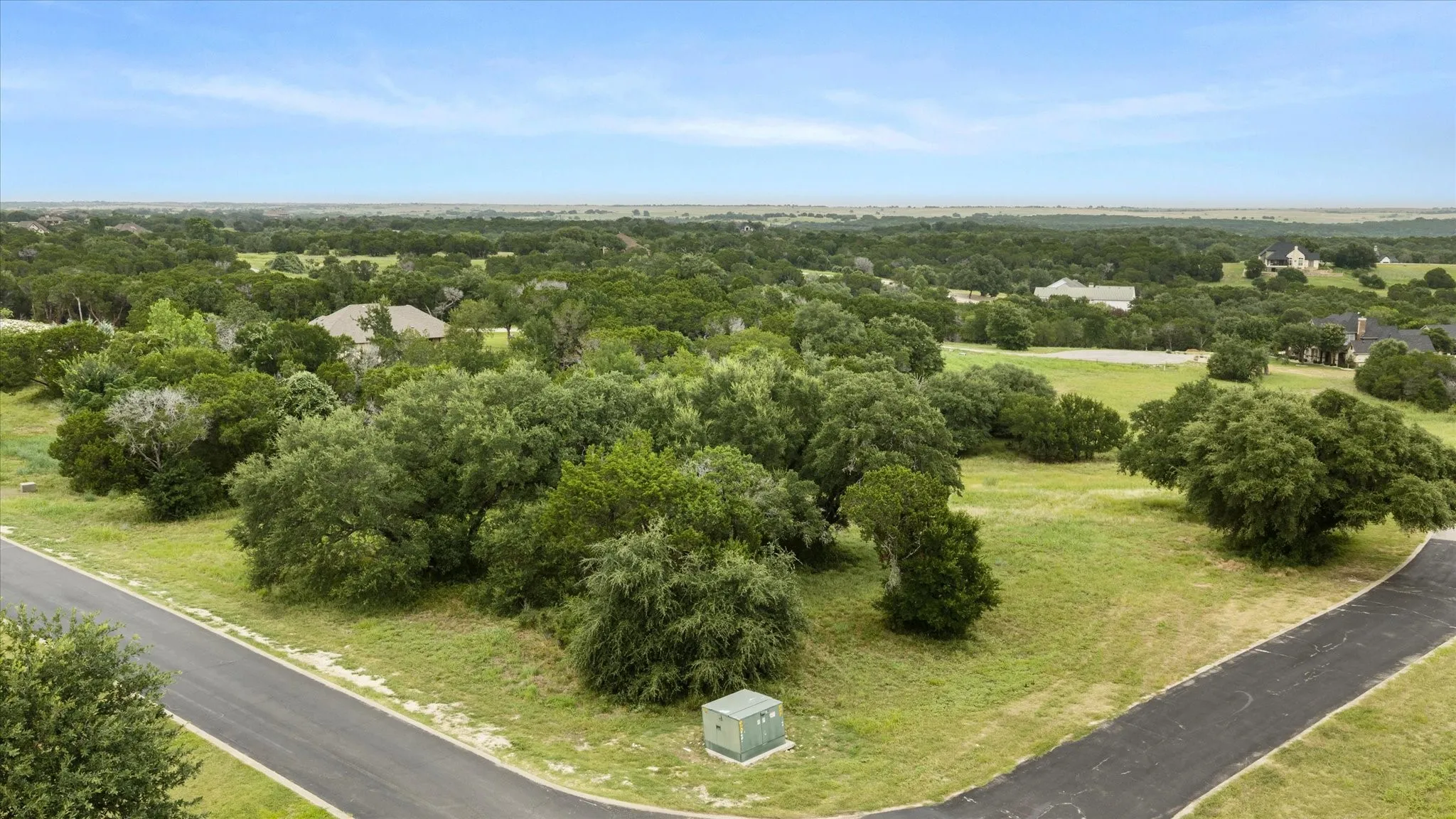 Expansive undeveloped land with mature trees and paved road frontage
