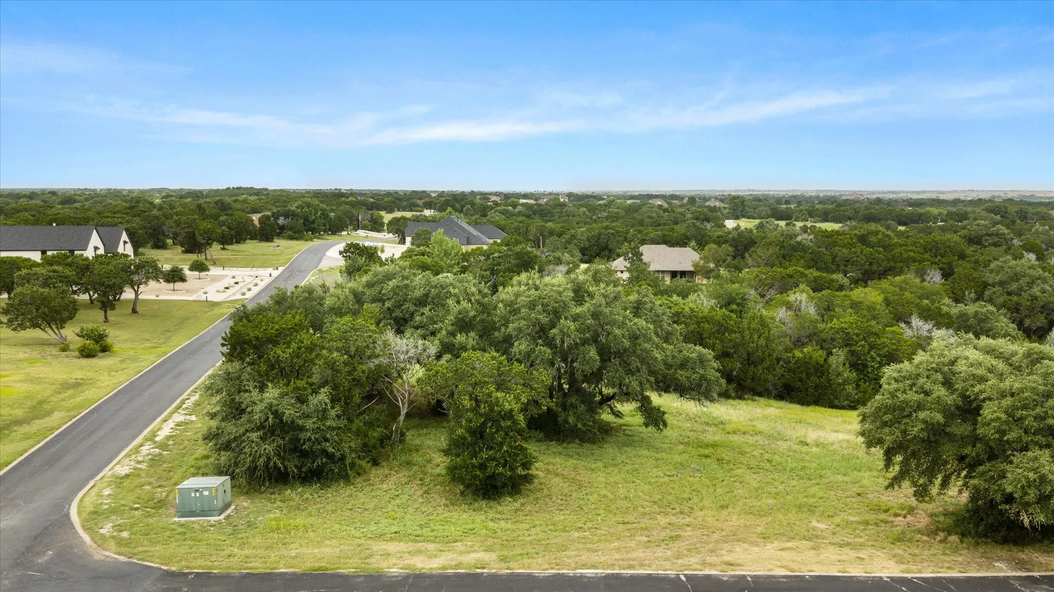 Expansive undeveloped land featuring a paved road frontage and mature trees