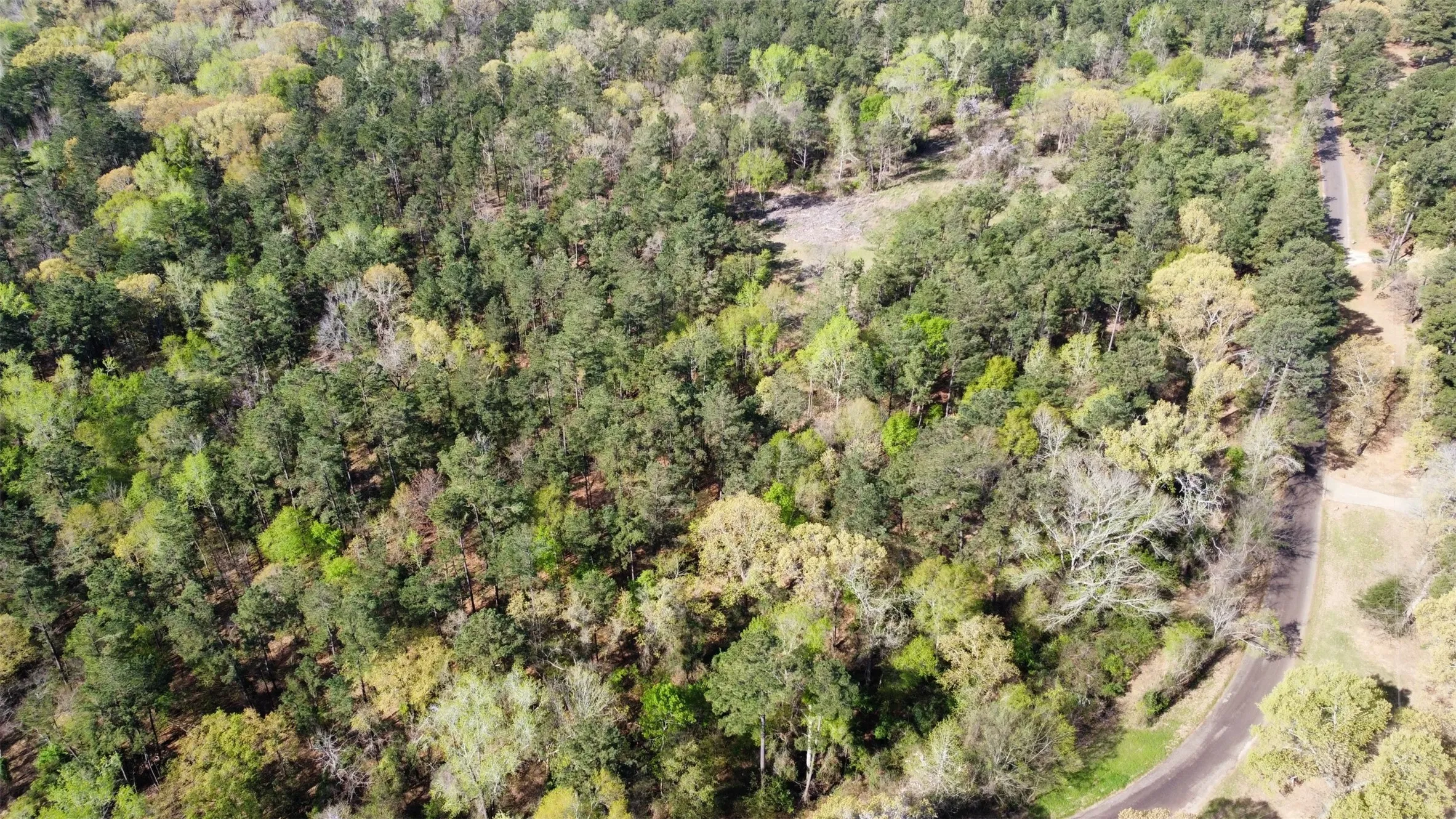 Unimproved Land For Sale in Smith County , 000 County Road 434, Lindale, Texas 75771, 0, 0, Garage spaces, 0 Sqft, built in 0, mls#20284183, Real Estate Agent in Lindale, Homes For Sale in Smith county, Homes For Sale in Lindale, Realtor in Lindale Texas, Real Estate Brokerage Independent Realty Texas, Luminita Cordes Realtor